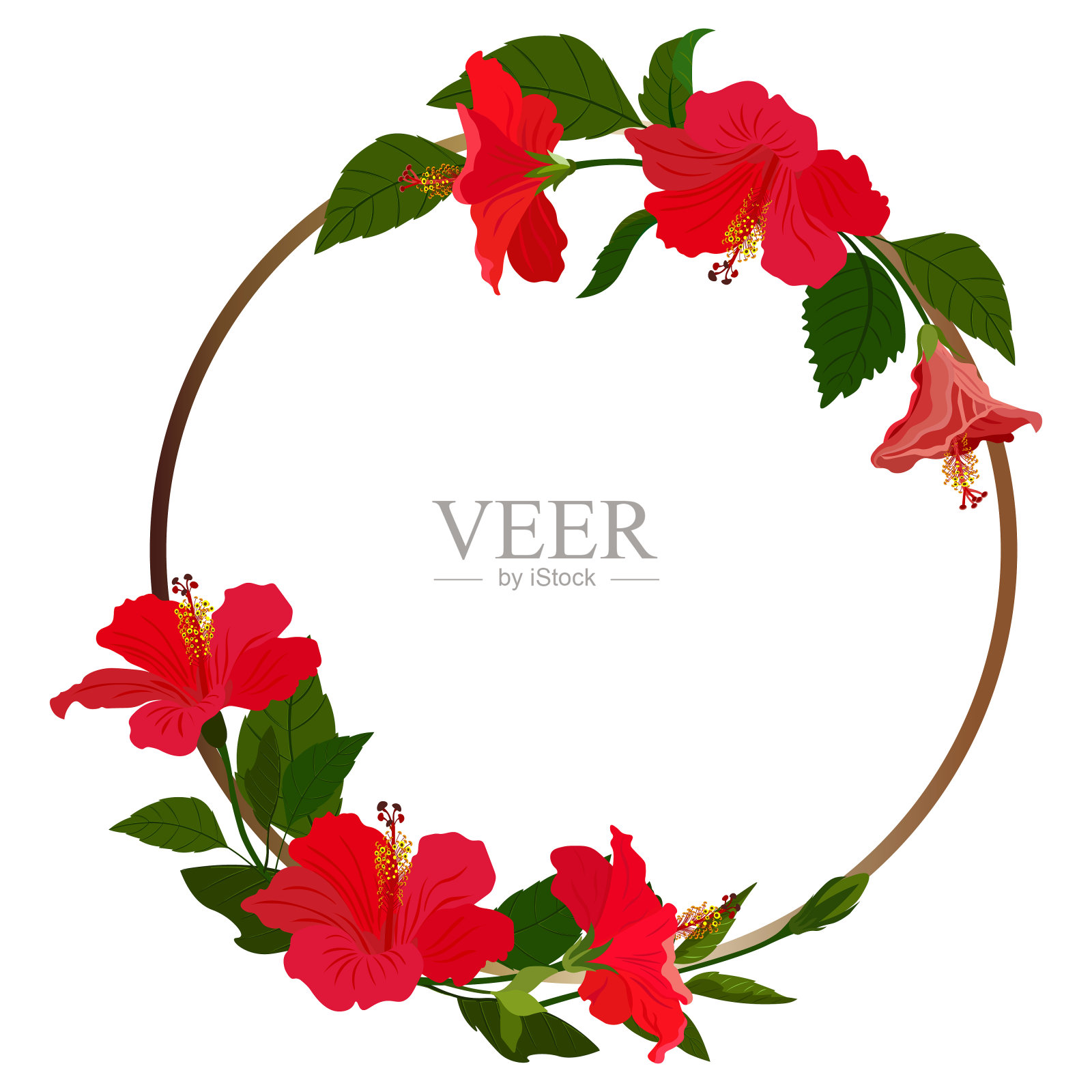 芙蓉花，金色框，白色底色。设计元素图片