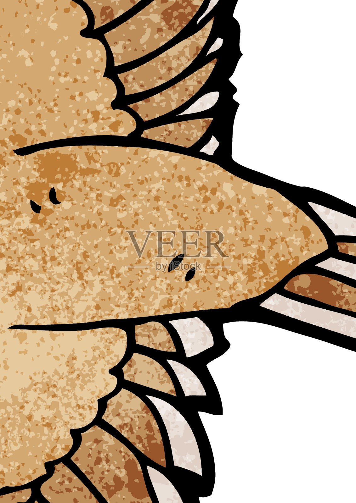 花园鸟插图插画图片素材