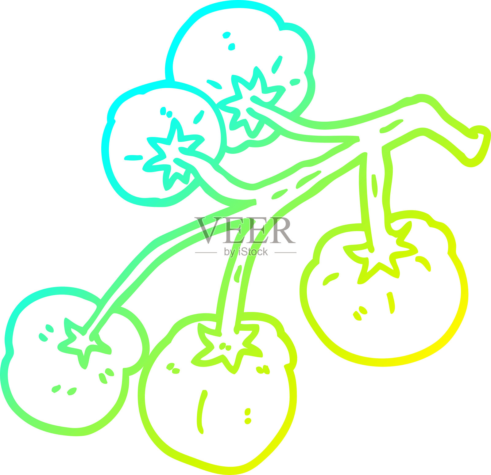 冷梯度线绘制卡通番茄藤插画图片素材