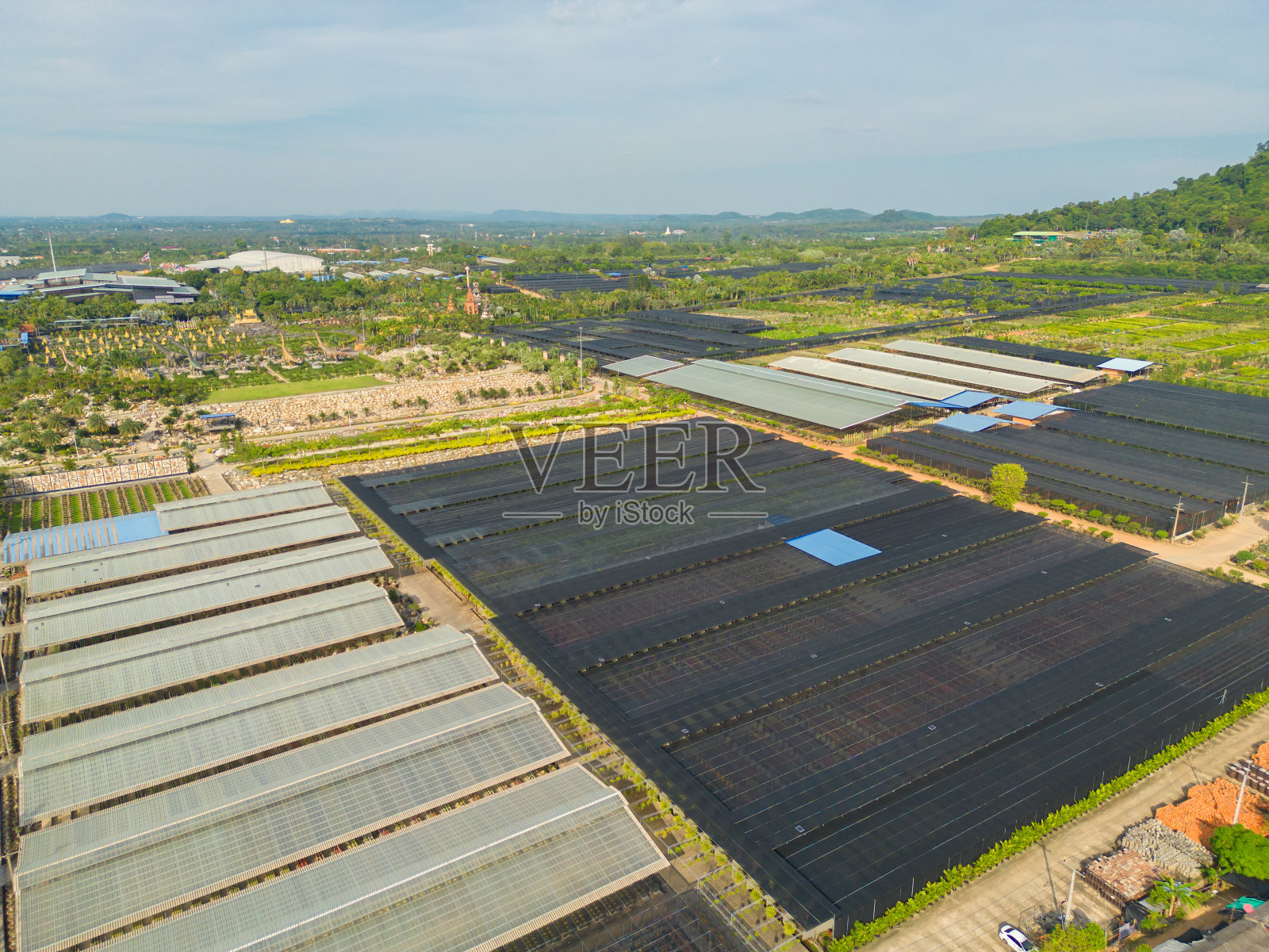 亚洲农村或农村地区的植物工业农场，绿色农业领域的帐篷屋顶的鸟瞰图。自然景观背景。照片摄影图片