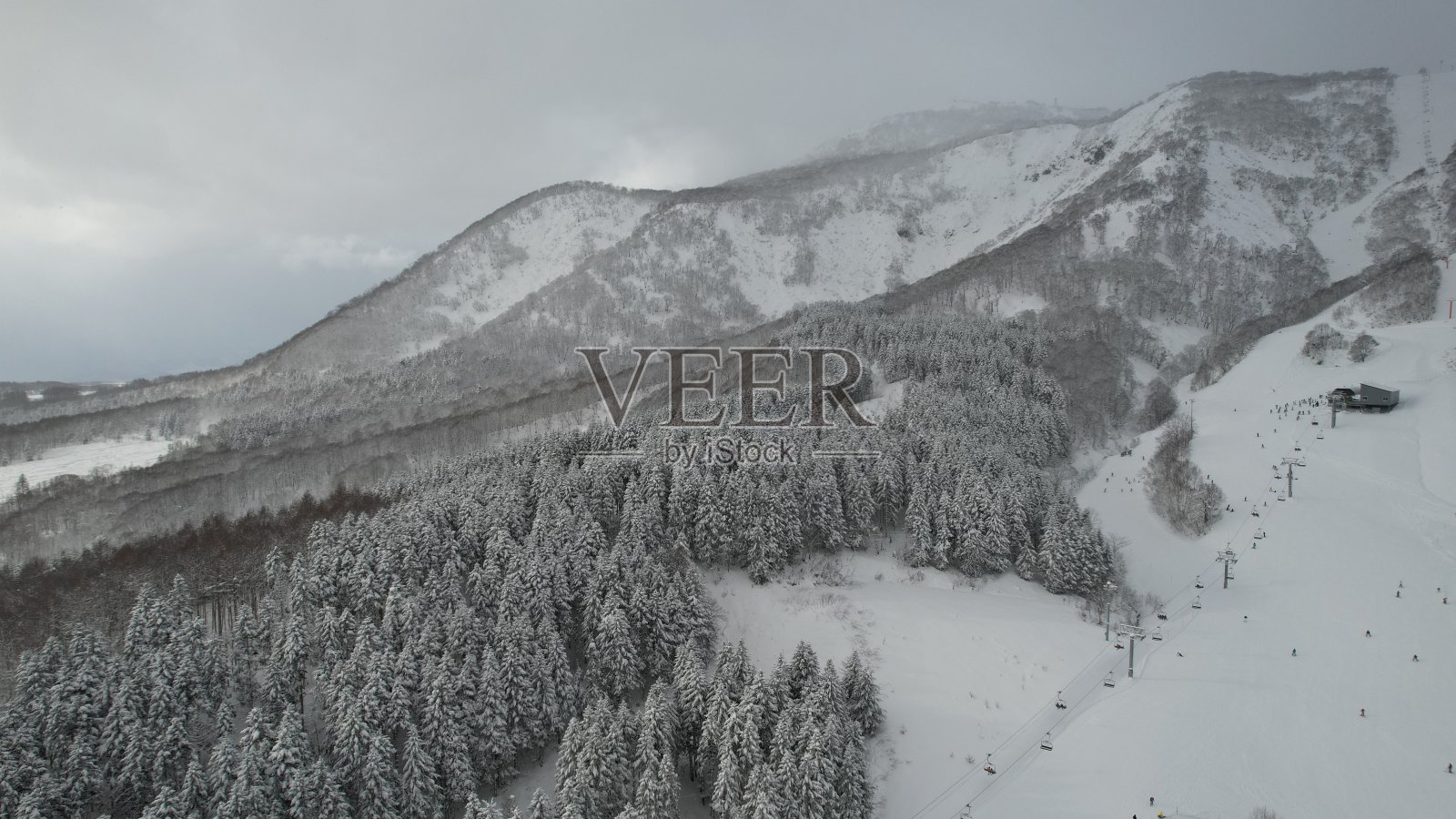 日本 新雪谷照片摄影图片
