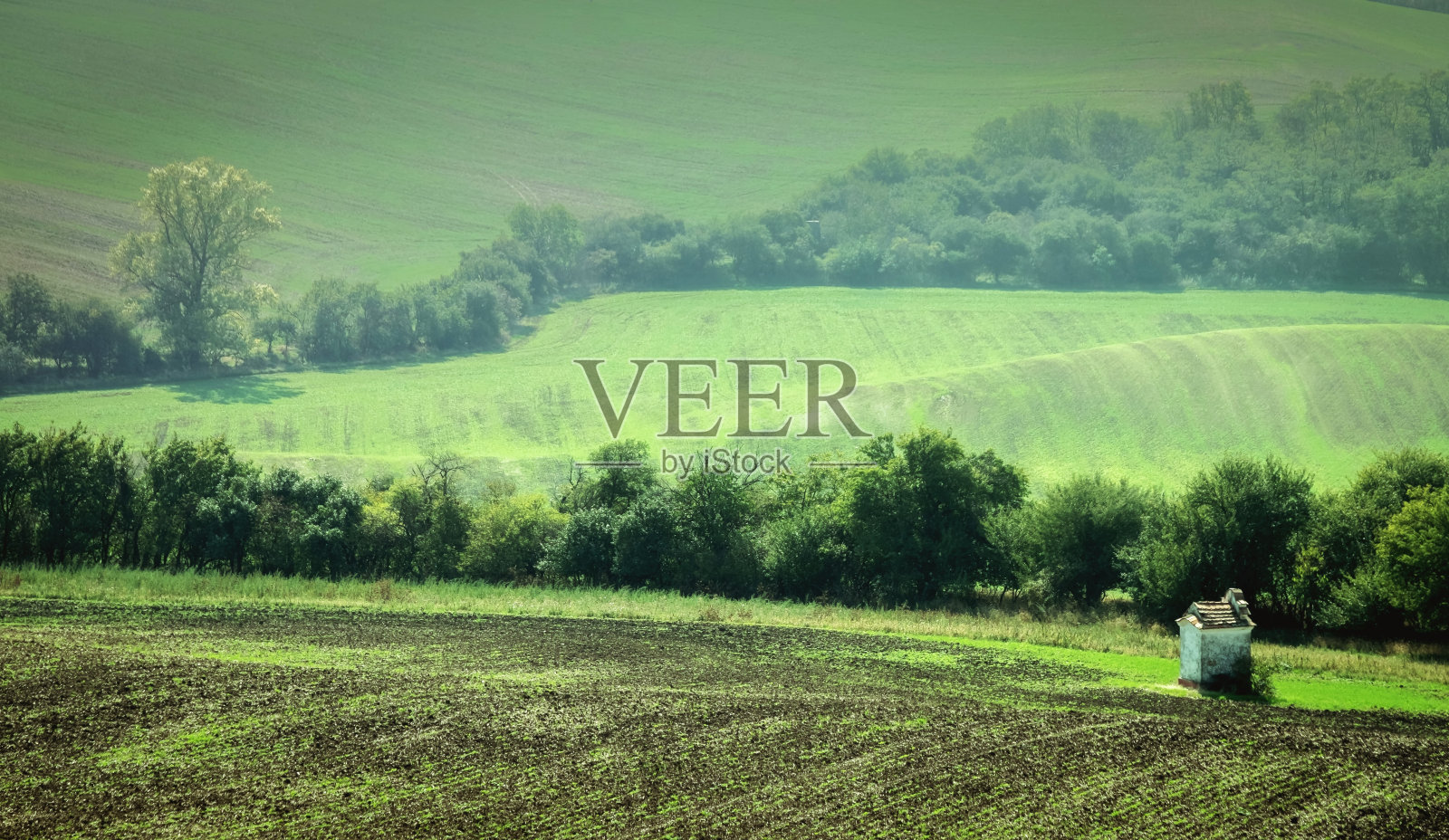 美丽的摩拉维亚田野照片摄影图片