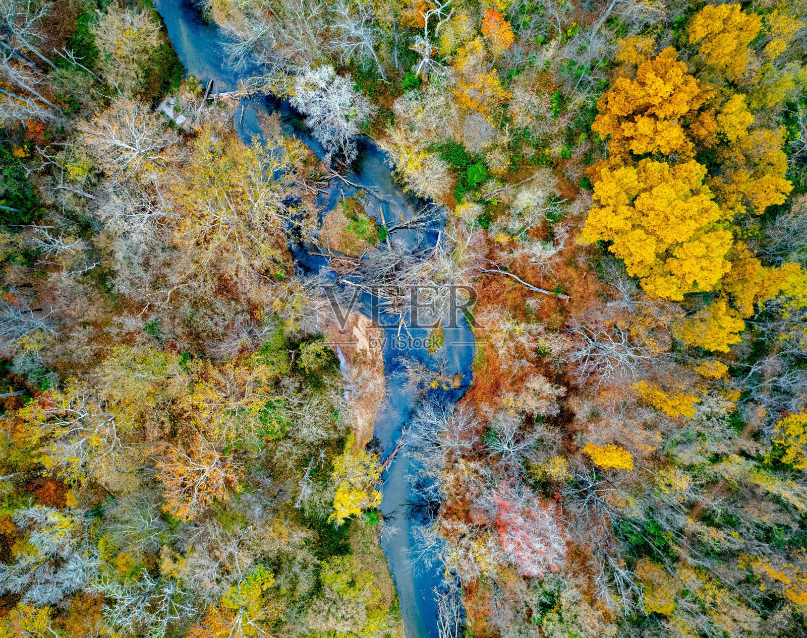 森林里秋天树叶的航拍。照片摄影图片