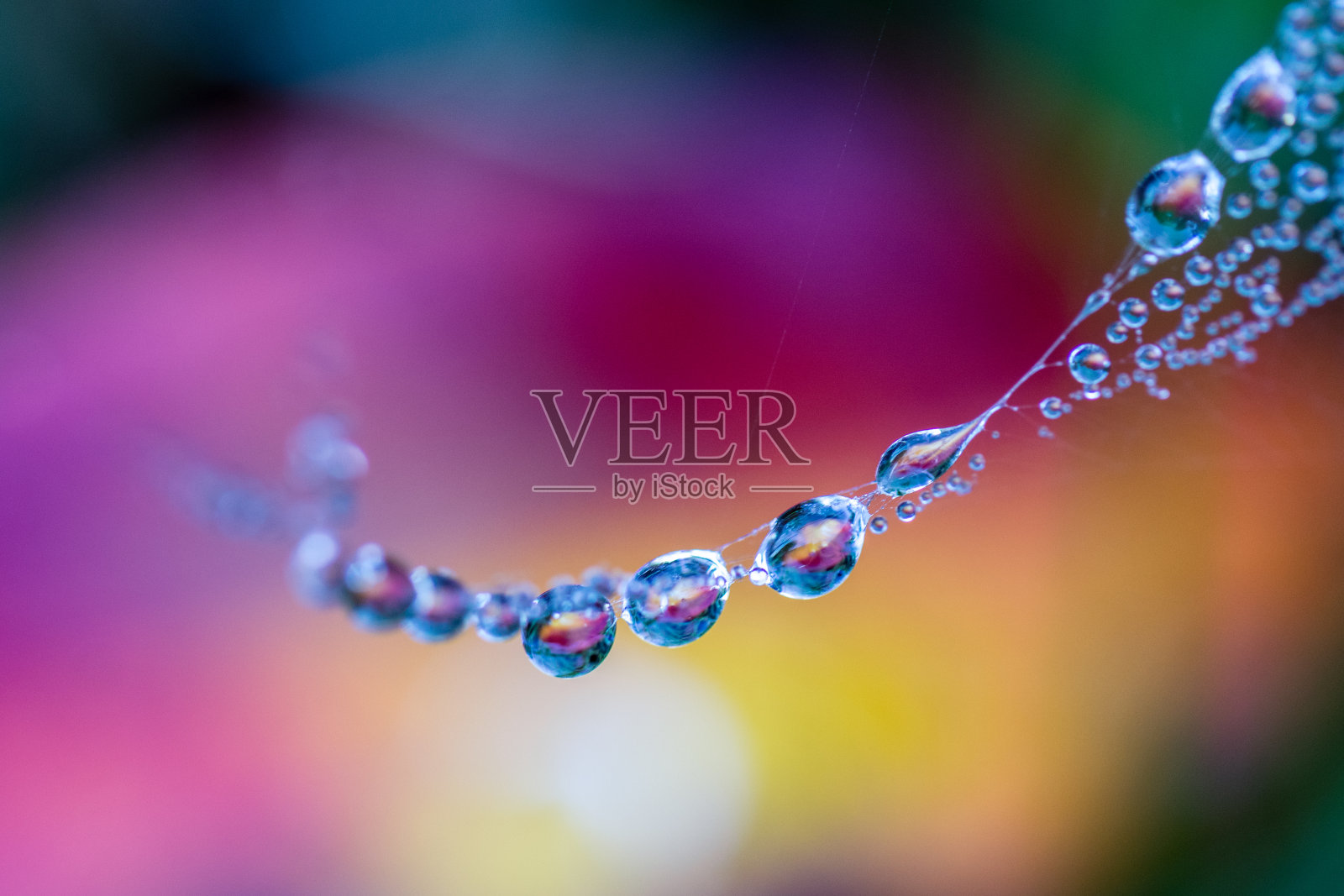 在模糊的彩色背景上，雨滴在蜘蛛网上的选择性聚焦镜头照片摄影图片