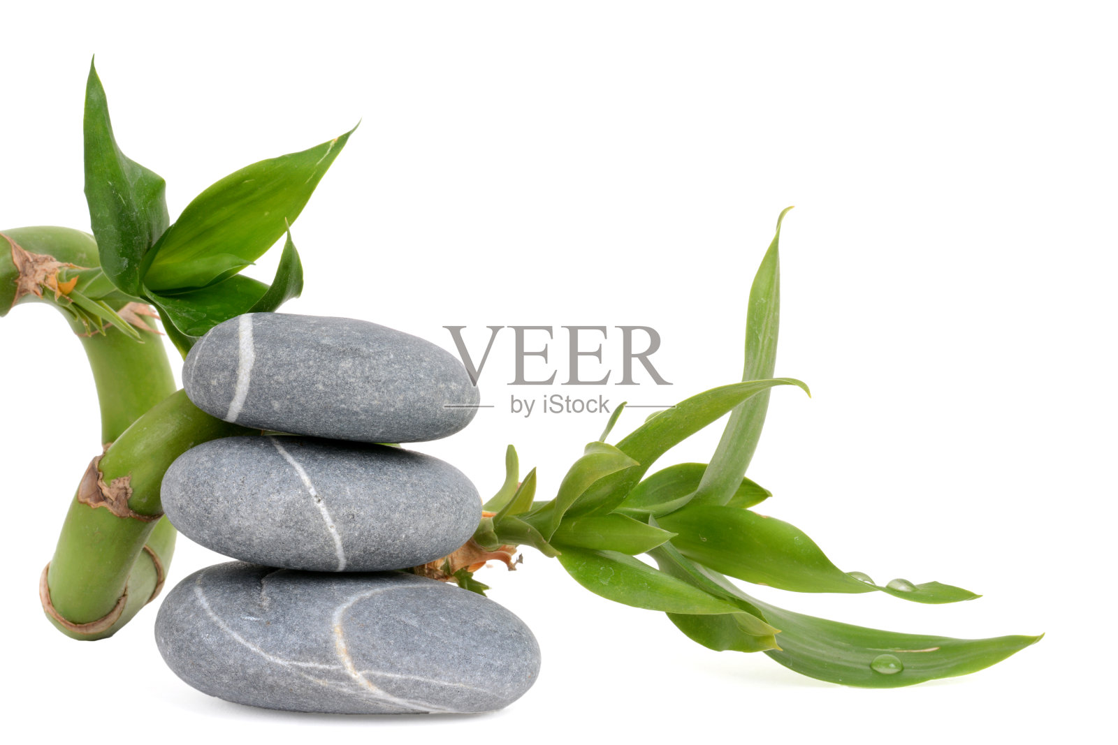 放松的竹子照片摄影图片