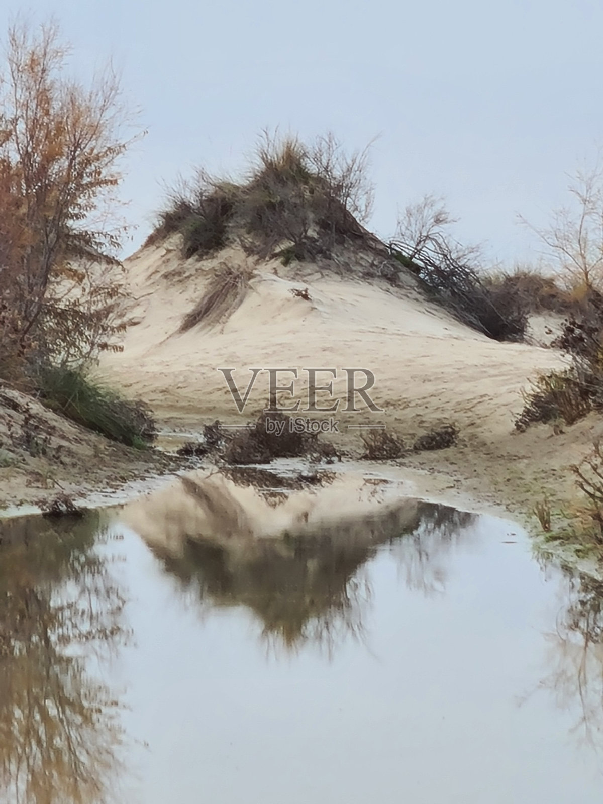 冬天的大海和日落照片摄影图片