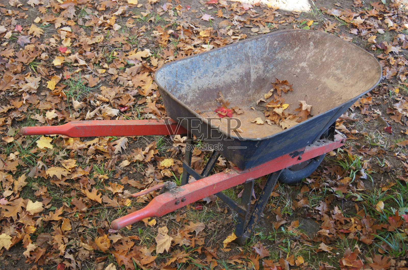 落叶清理照片摄影图片