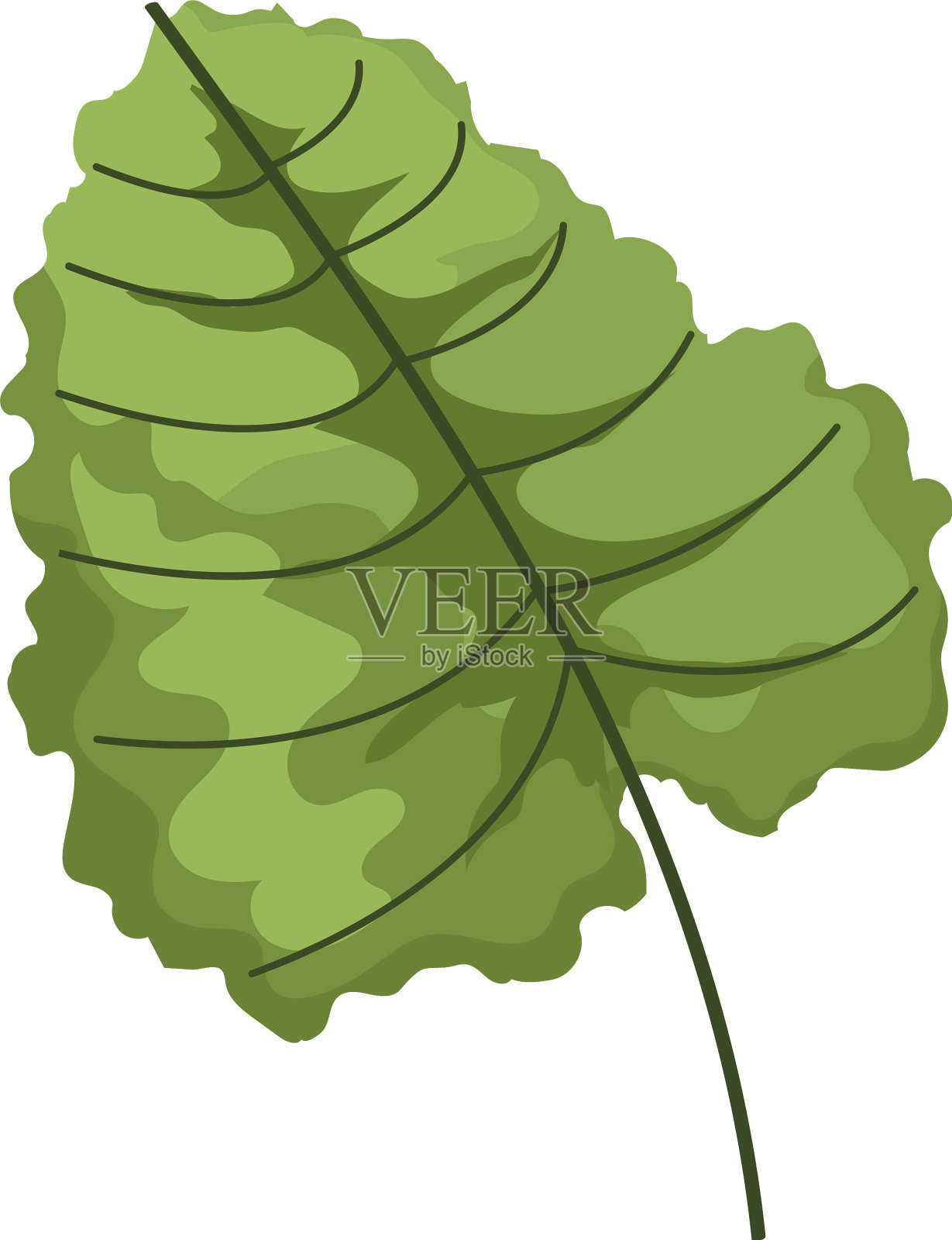 叶子植物设计元素图片