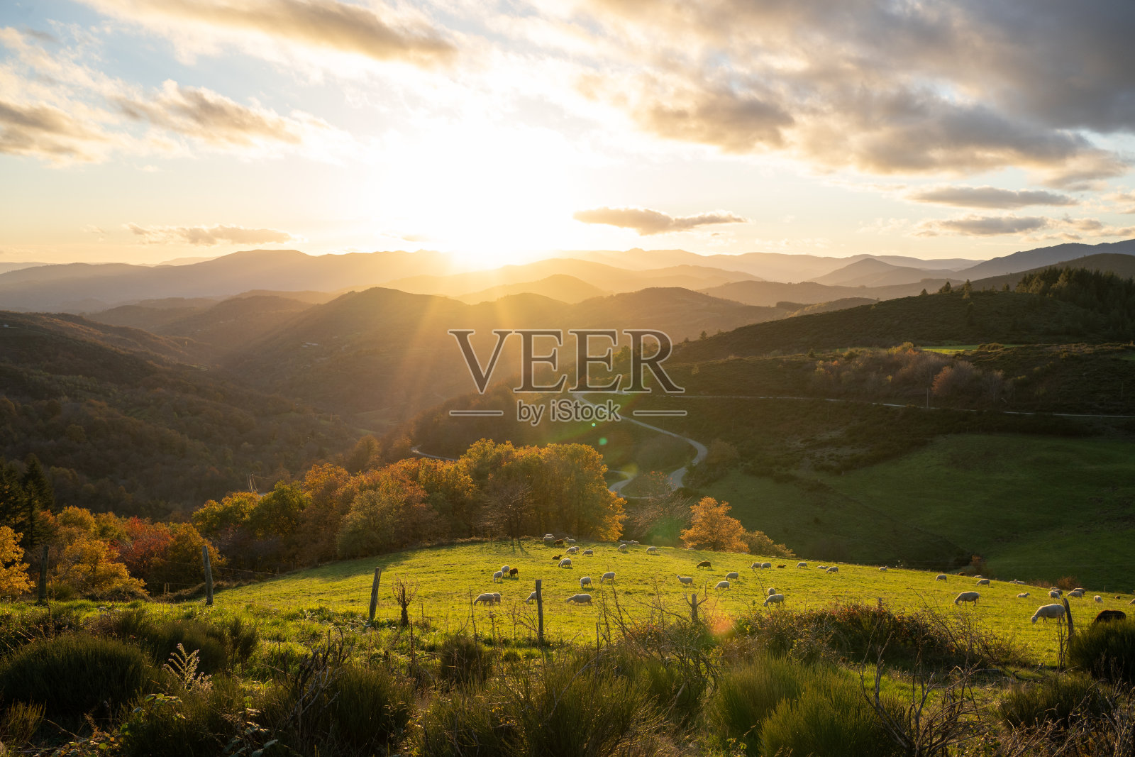 日落在法国山区的农田里照片摄影图片