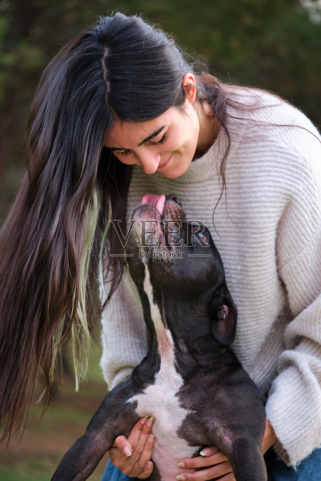 年轻的白人妇女笑后，她的混合品种的狗吻她在森林。照片摄影图片