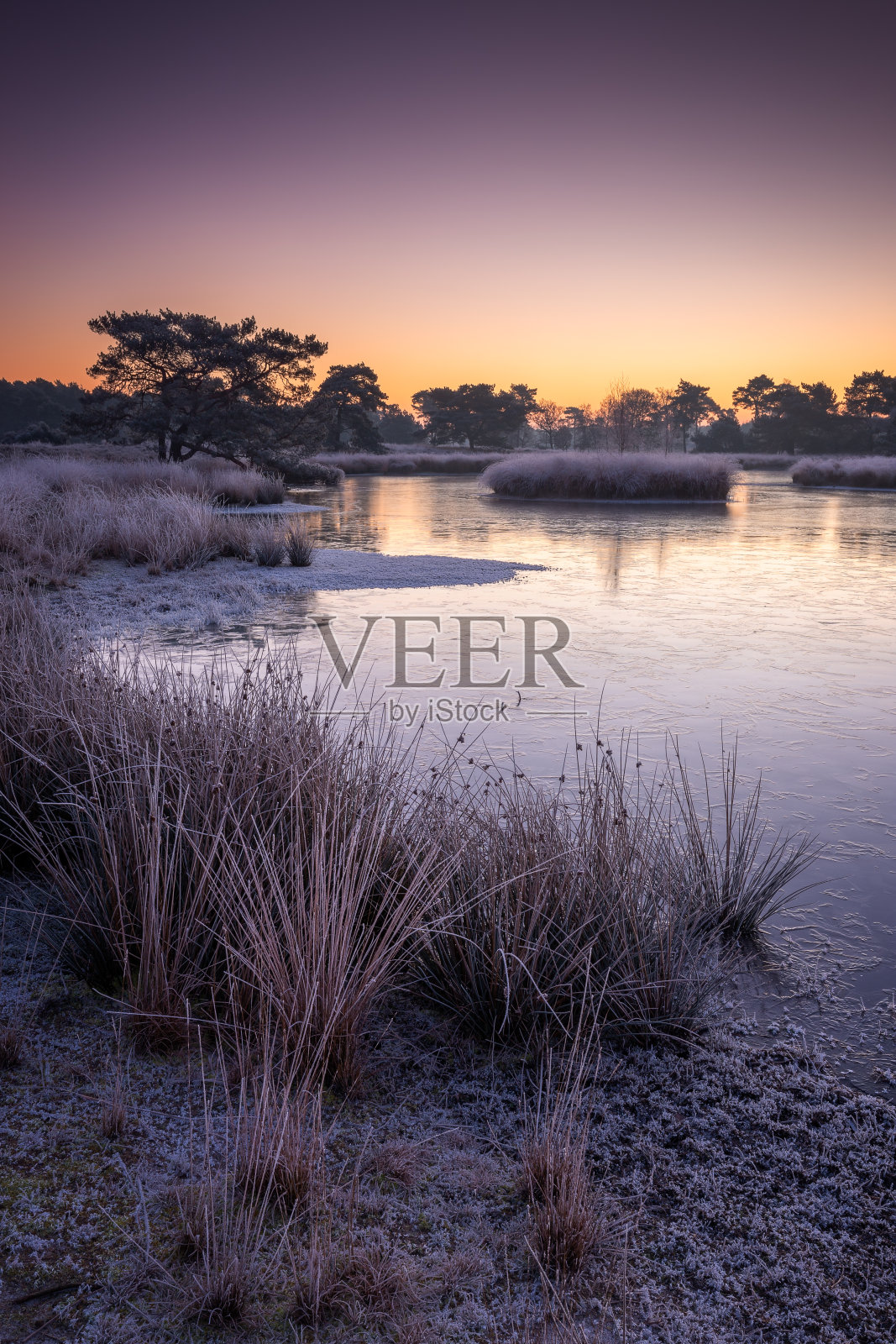 荷兰Maasduinen国家公园寒冷冬日早晨的日出照片摄影图片
