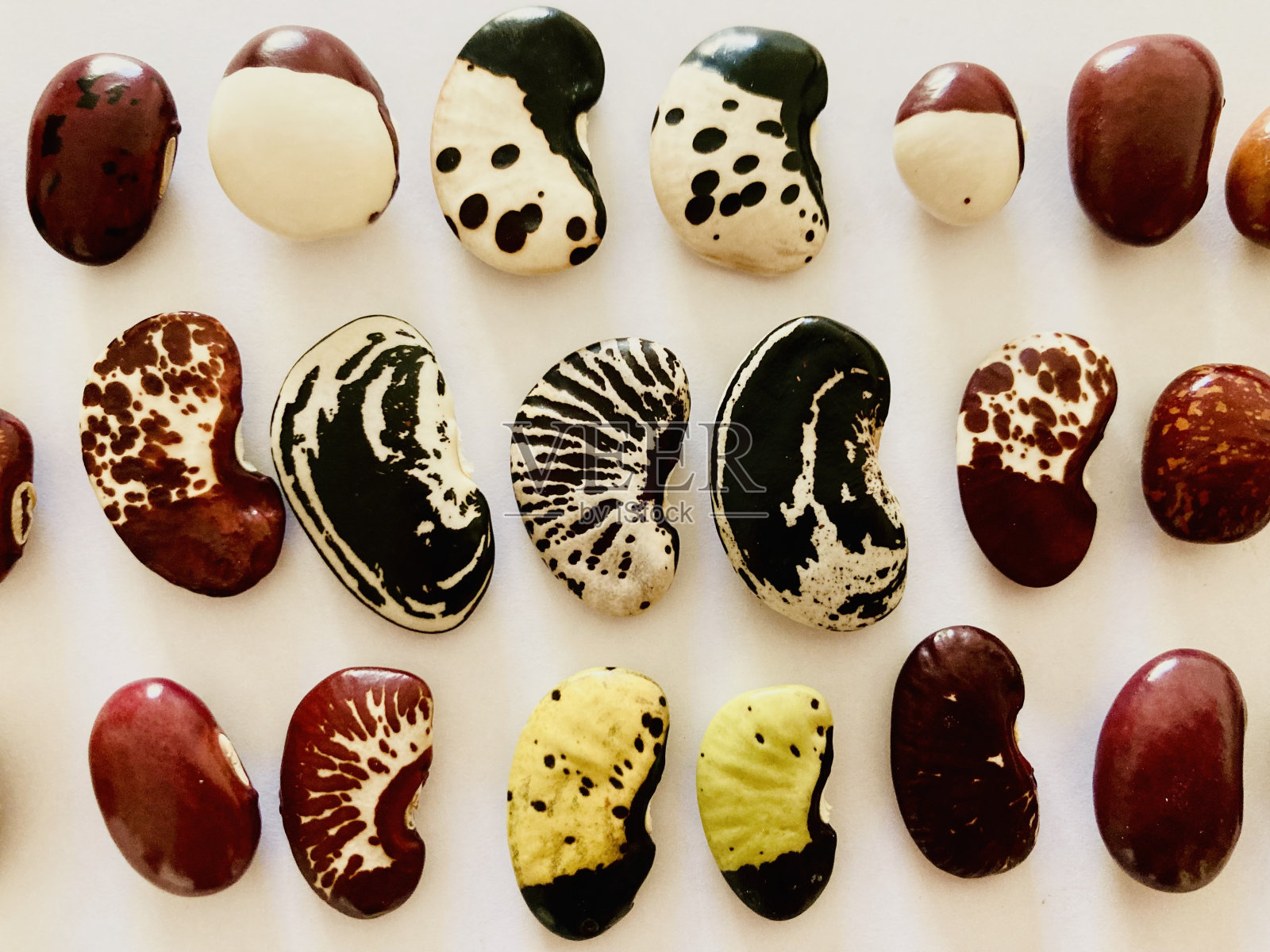 白色背景上的祖传豆子照片摄影图片