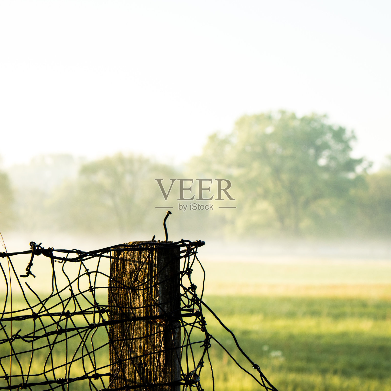 近距离拍摄的围栏与纠结的金属线保护后院照片摄影图片