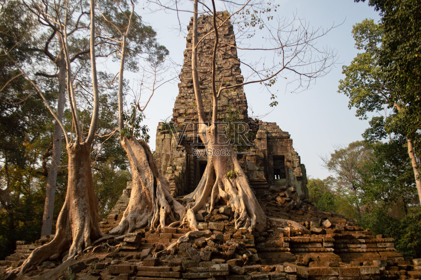 美丽的帕利莱镜头照片摄影图片