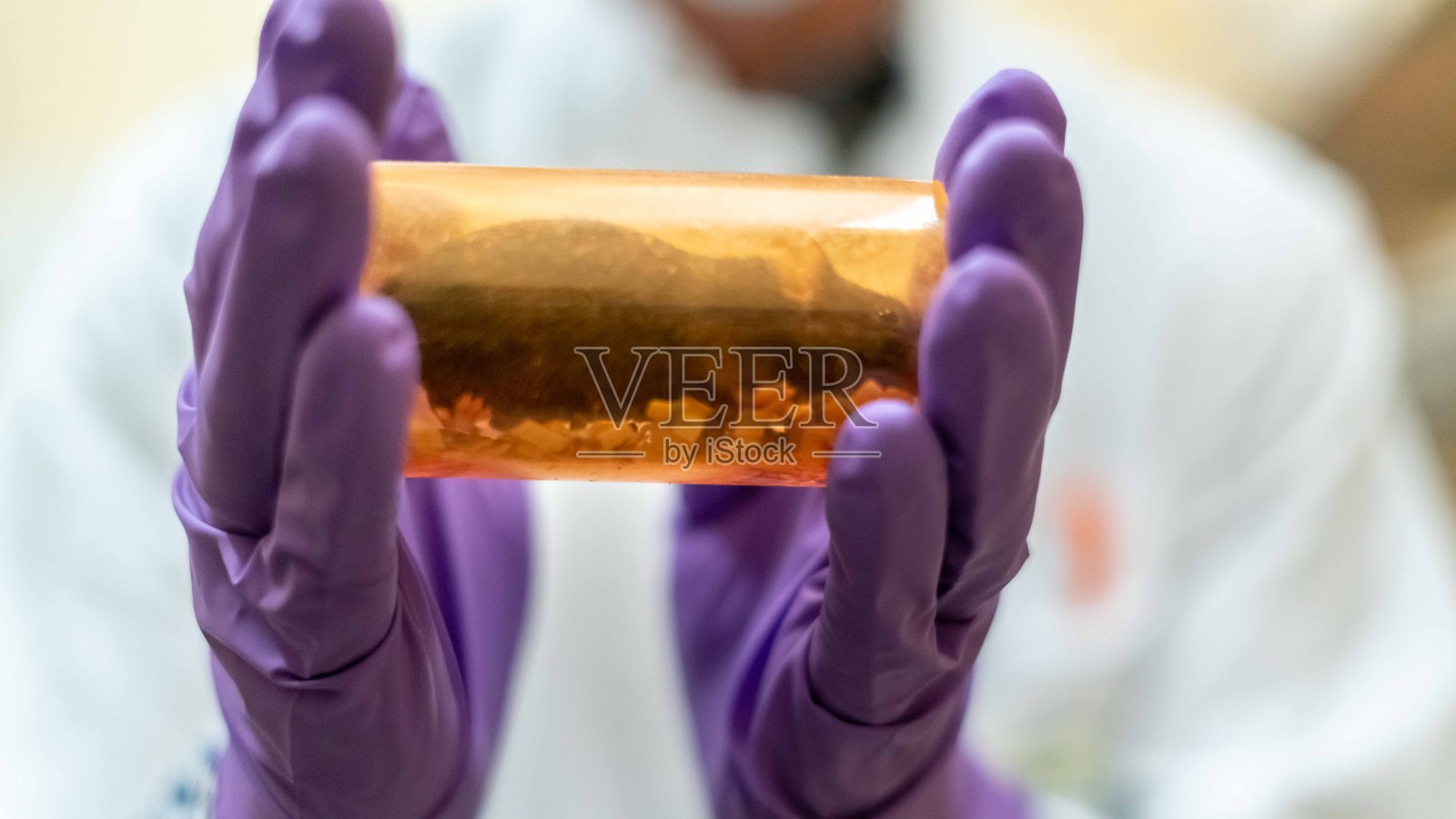 戴手套的人在实验室里拿着胶囊里的老鼠照片摄影图片