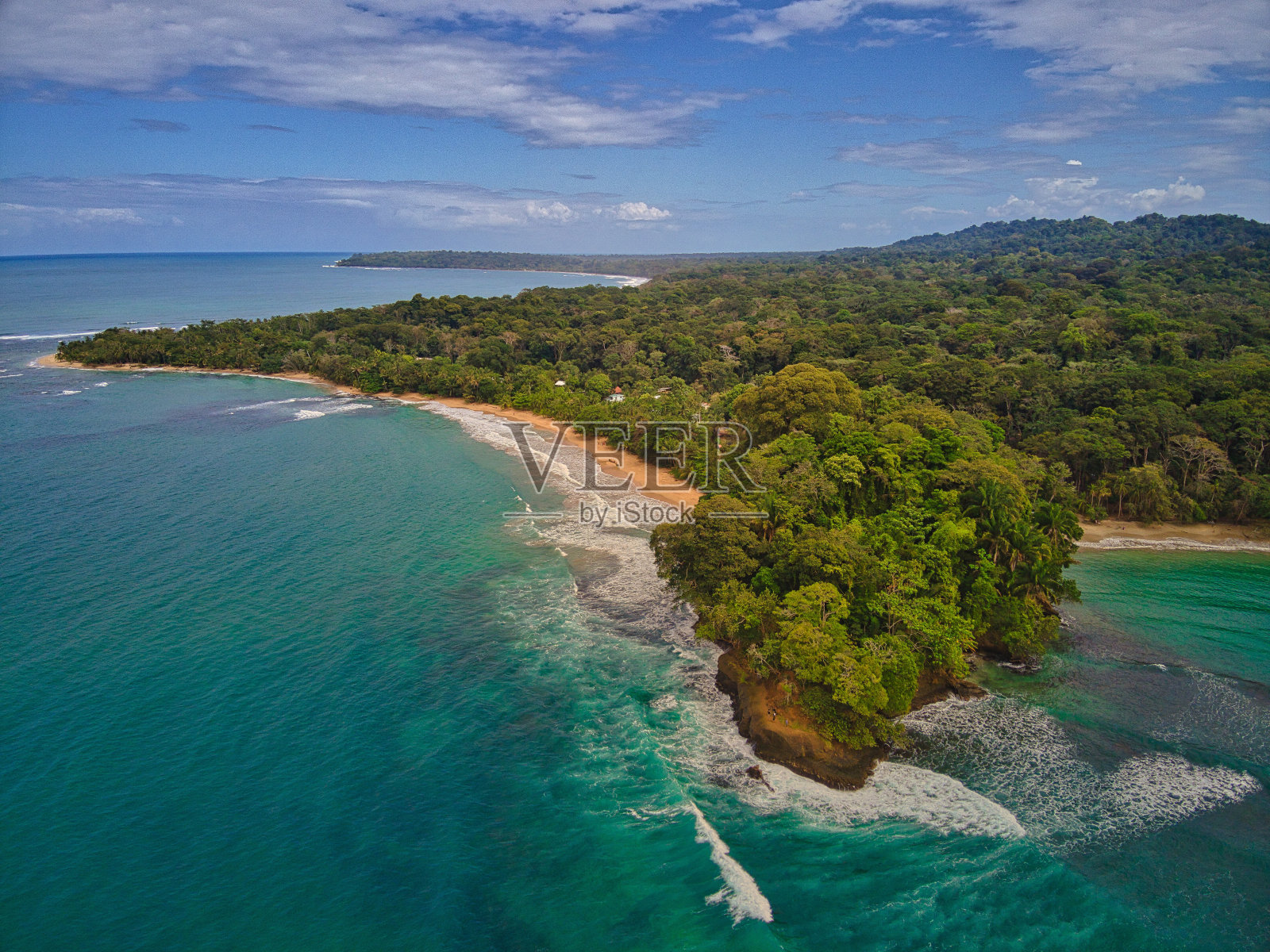 蓬塔Uva曼萨尼约哥斯达黎加照片摄影图片