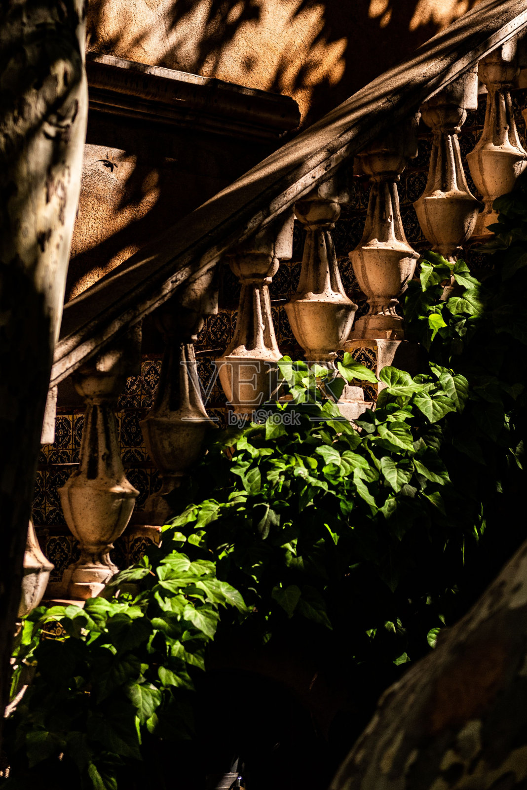 垂直拍摄的常春藤植物生长在哥特式风格的楼梯附近照片摄影图片
