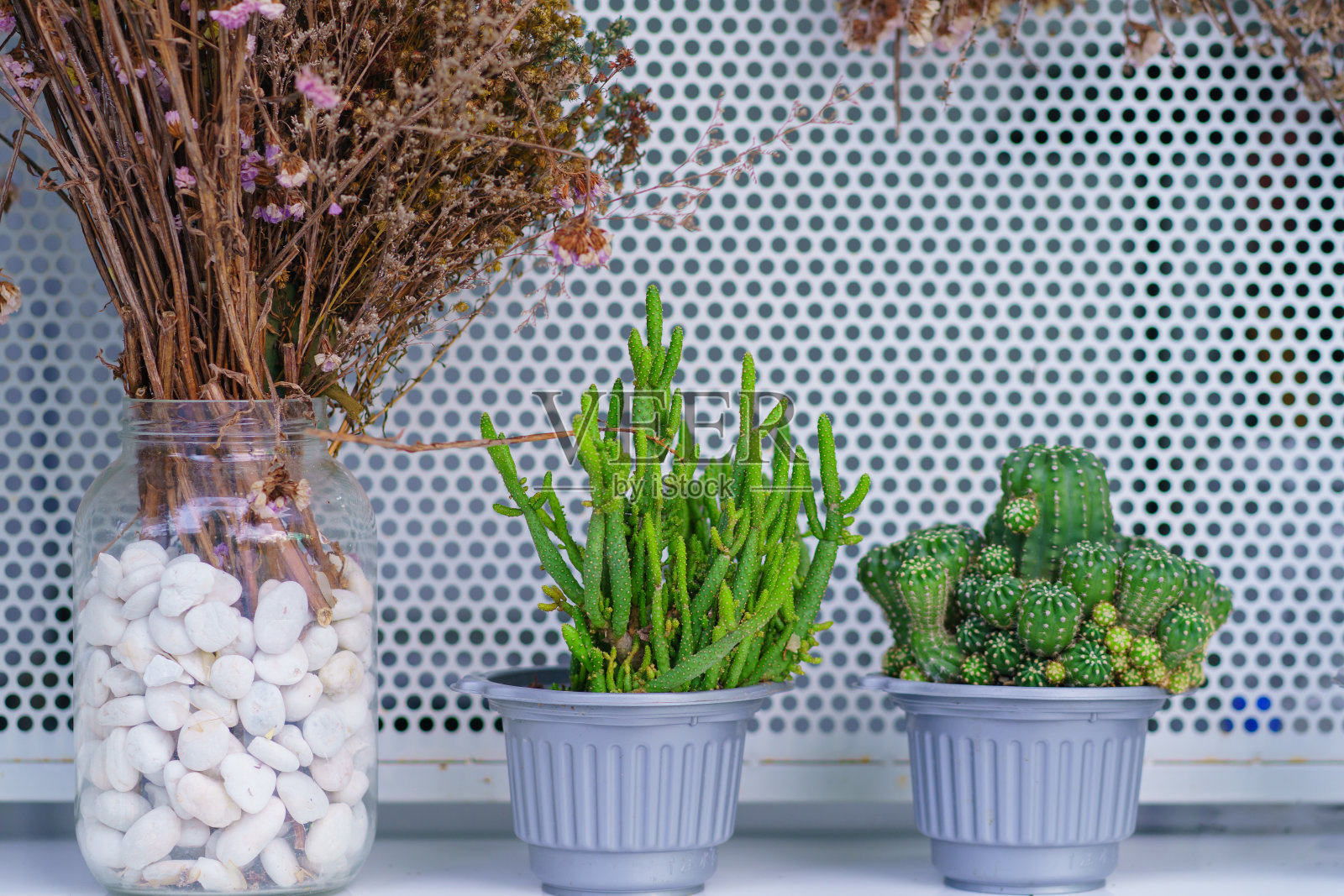 木桶里的干花和仙人掌。房间装饰在复古风格的背景照片摄影图片