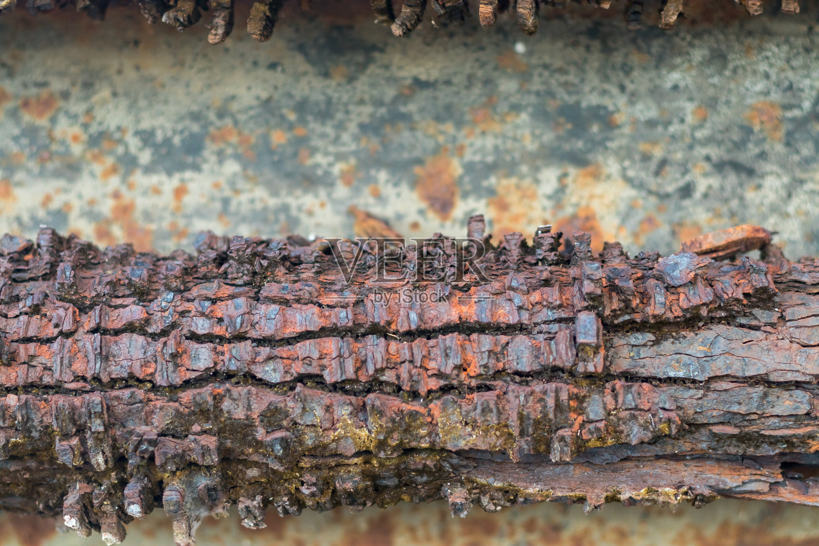 法属波利尼西亚的马卡蒂亚岛，60年代的磷酸盐，现在是度假胜地照片摄影图片