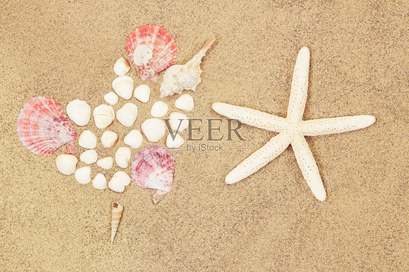 沙滩上由海螺、白色贝壳和海星组成的心形图案：情人节、旅行、度假照片摄影图片