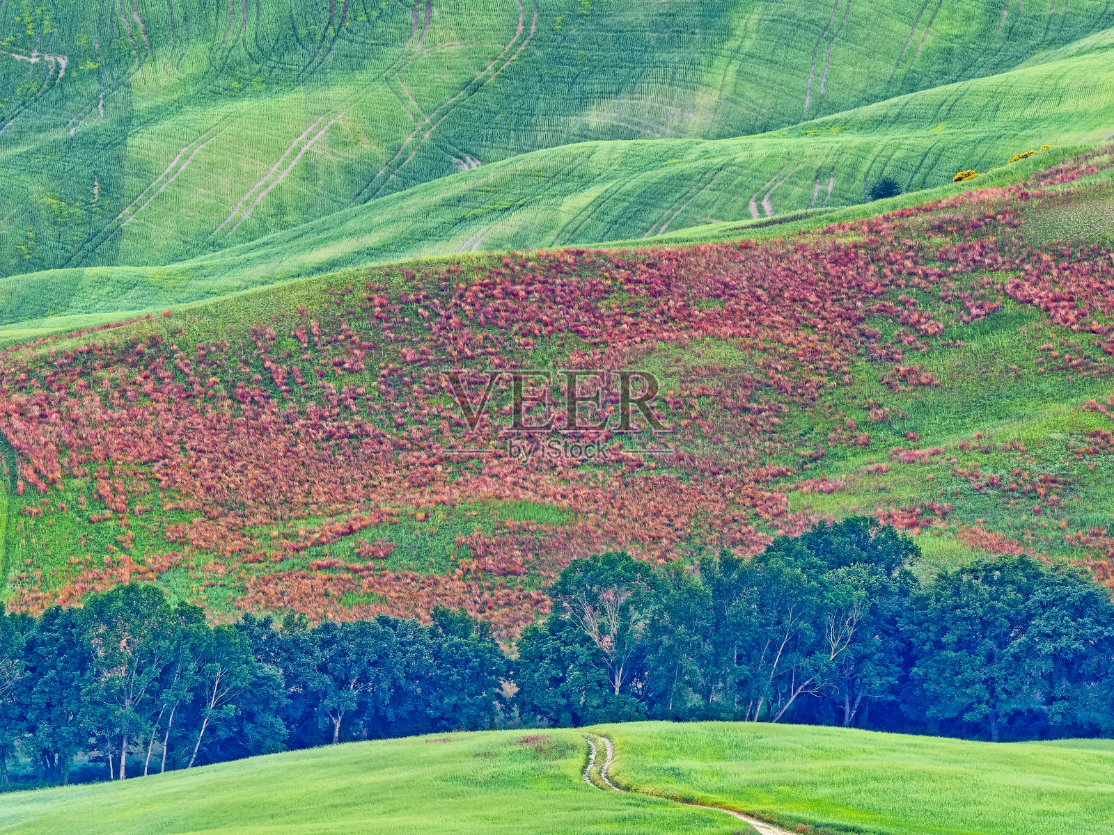 意大利托斯卡纳地区照片摄影图片