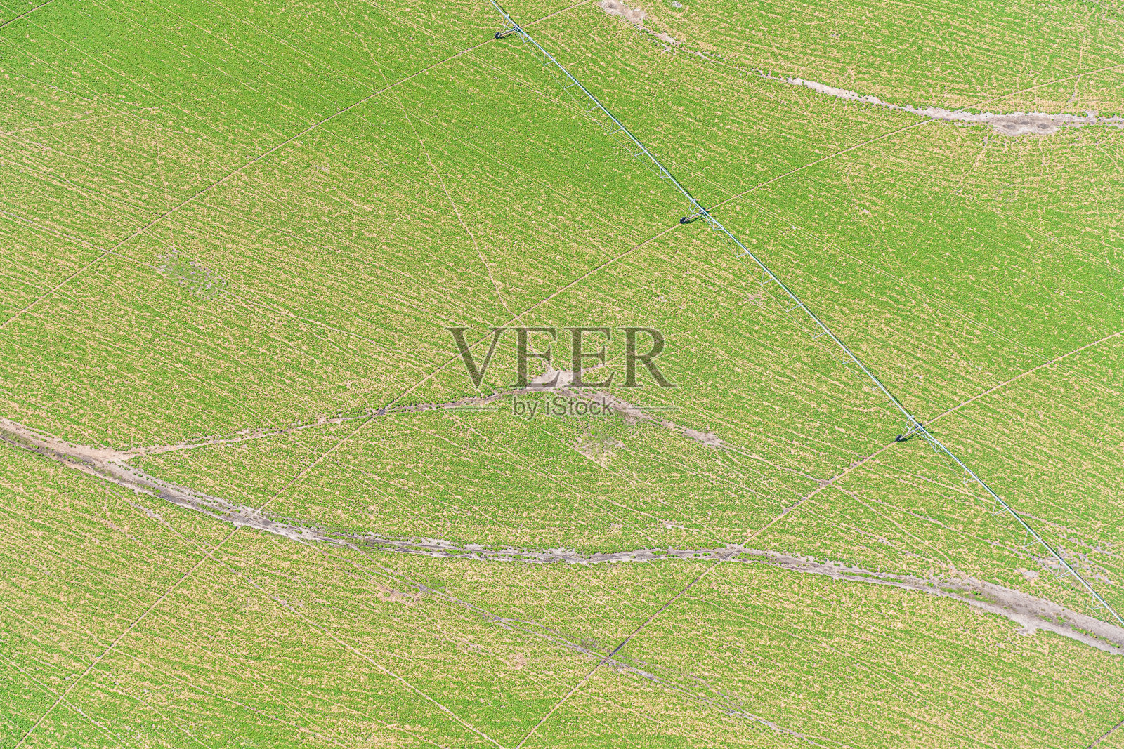 澳大利亚塔斯马尼亚州布里奇波特农村农田的鸟瞰图照片摄影图片