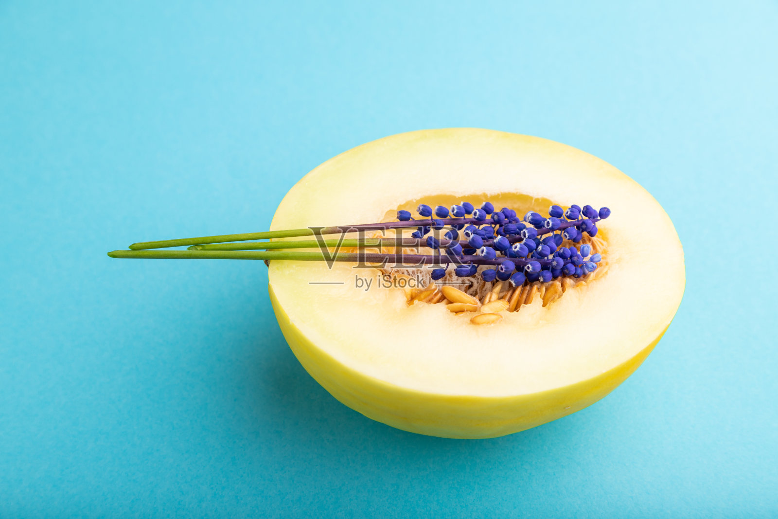 切片成熟的黄色甜瓜和风信子花在蓝色粉彩背景。侧视图，近一点。照片摄影图片