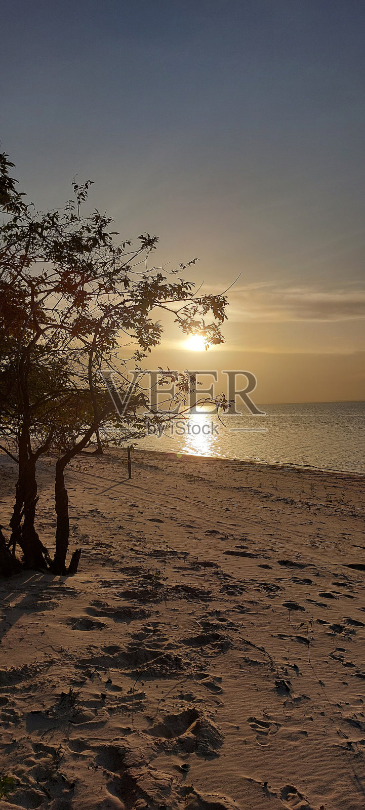 天然美女照片摄影图片