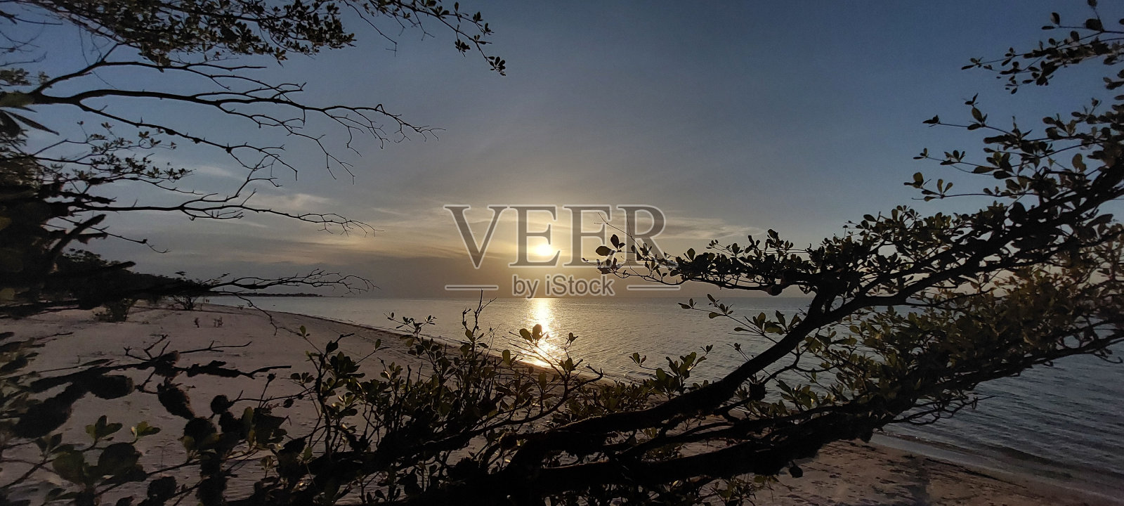 天然美女照片摄影图片