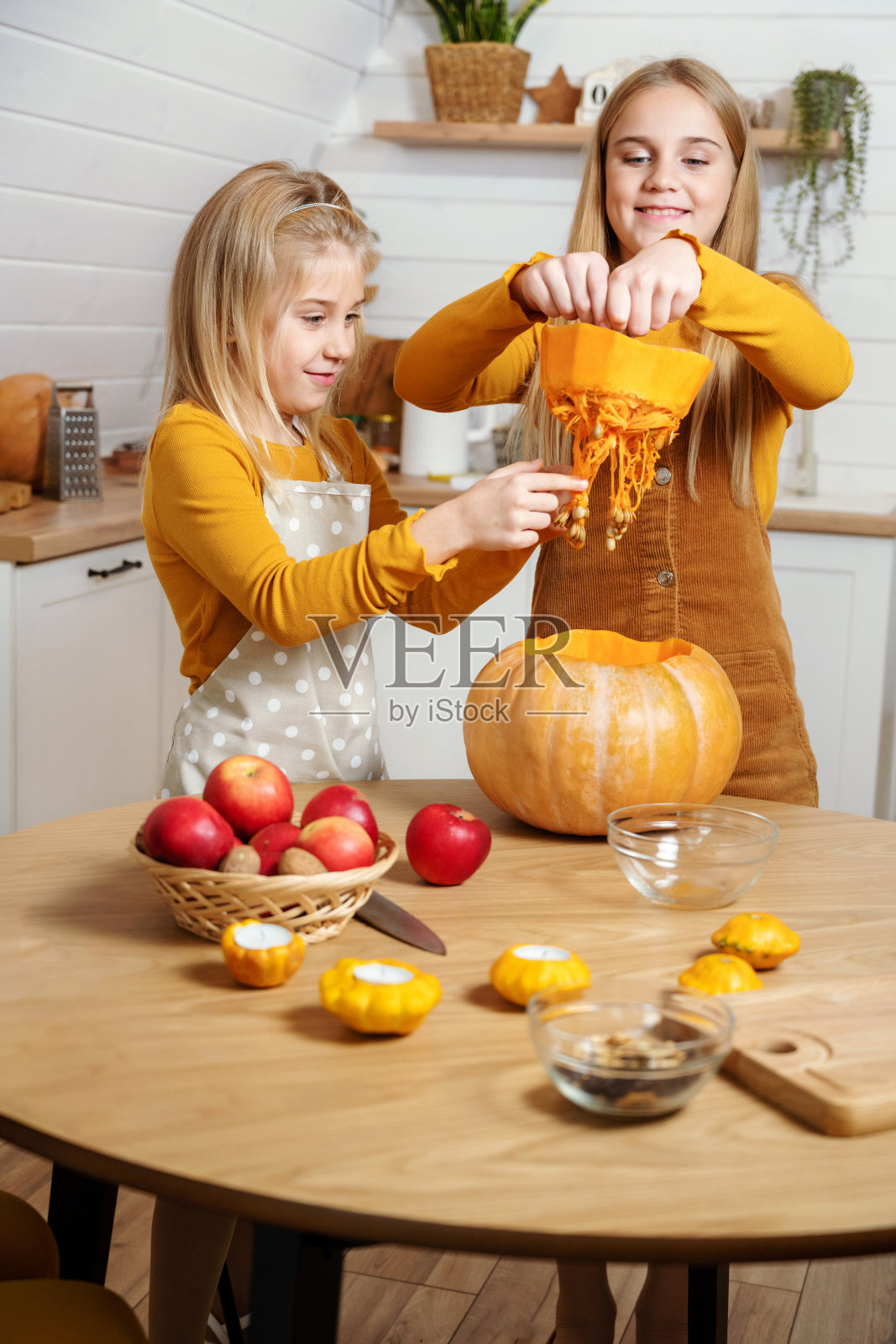 两个小女孩在家里的厨房里拿出南瓜种子。姐妹们在万圣节或感恩节一起切南瓜。照片摄影图片