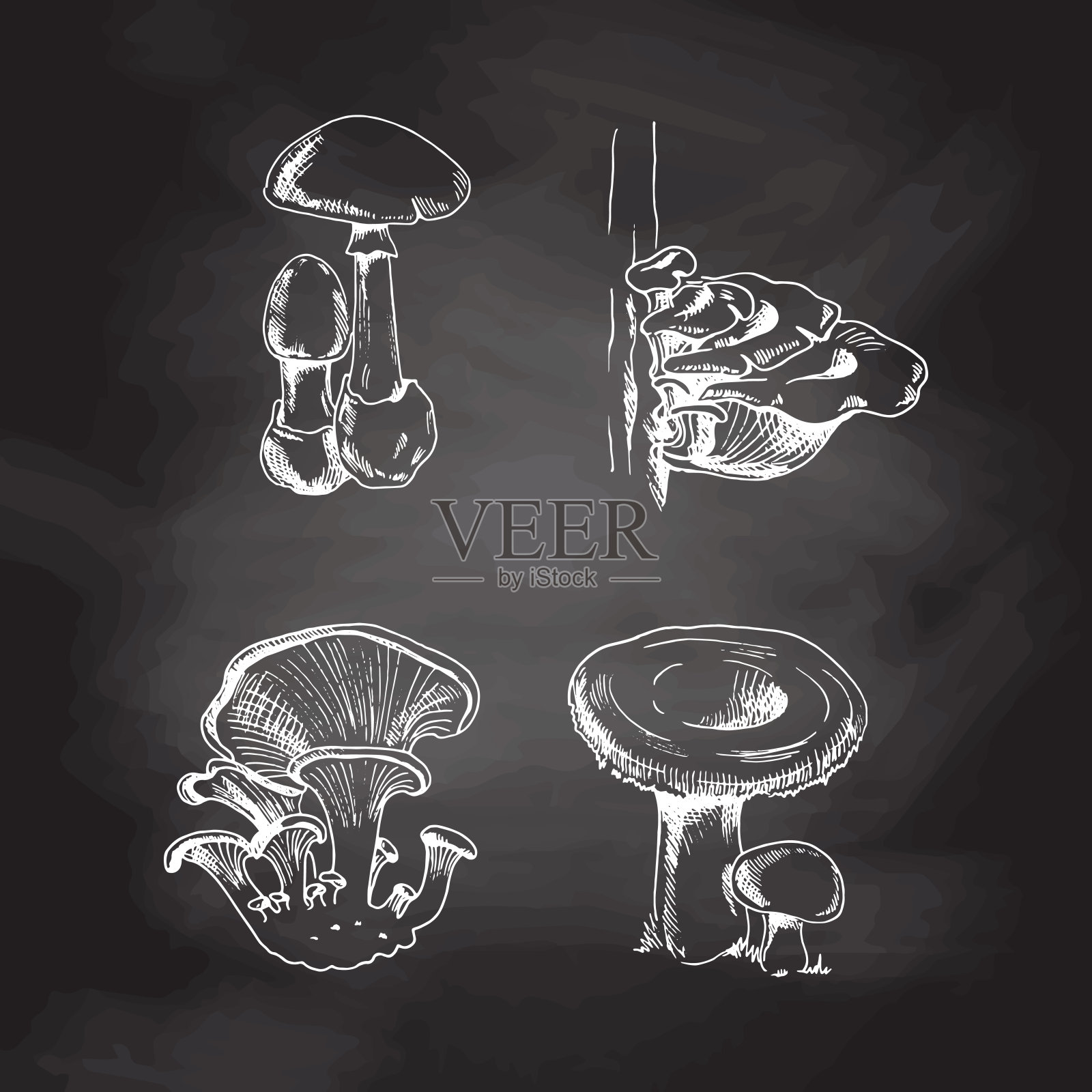 矢量草图收集不同的蘑菇。白色素描孤立在黑色黑板上。素描插图印刷，网络，移动和信息图表。插画图片素材