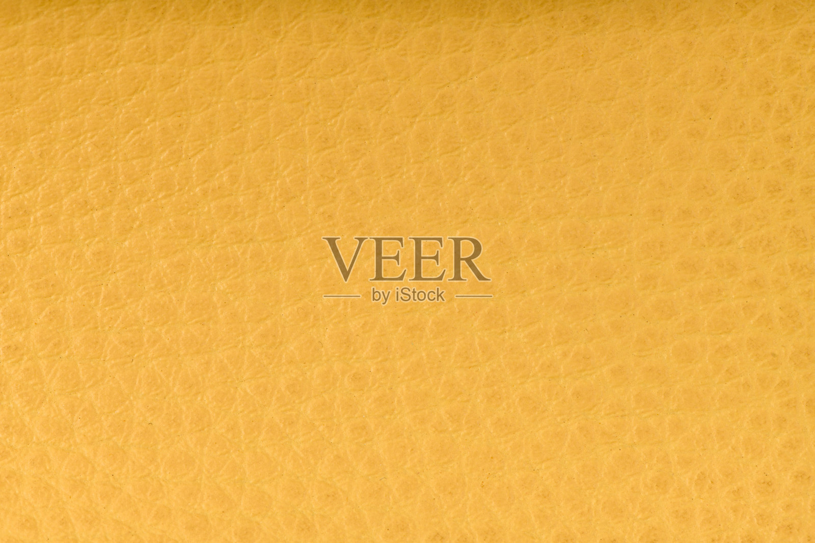 黄皮照片摄影图片