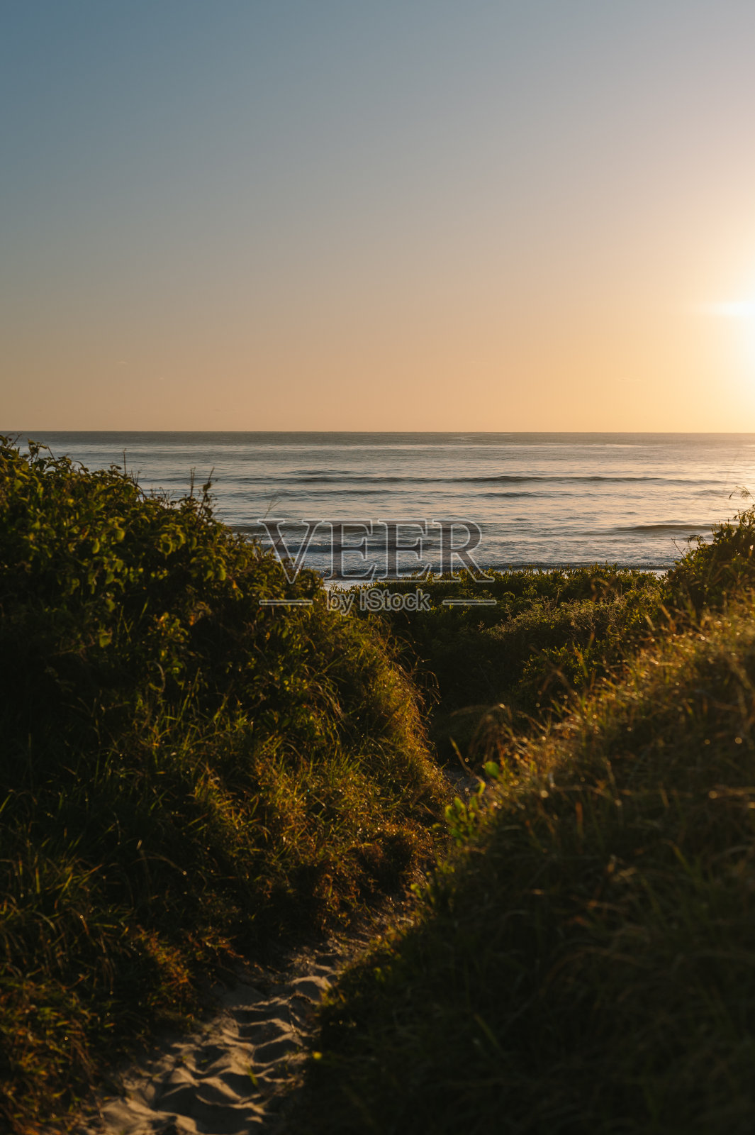 澳大利亚海滩上的日出照片摄影图片