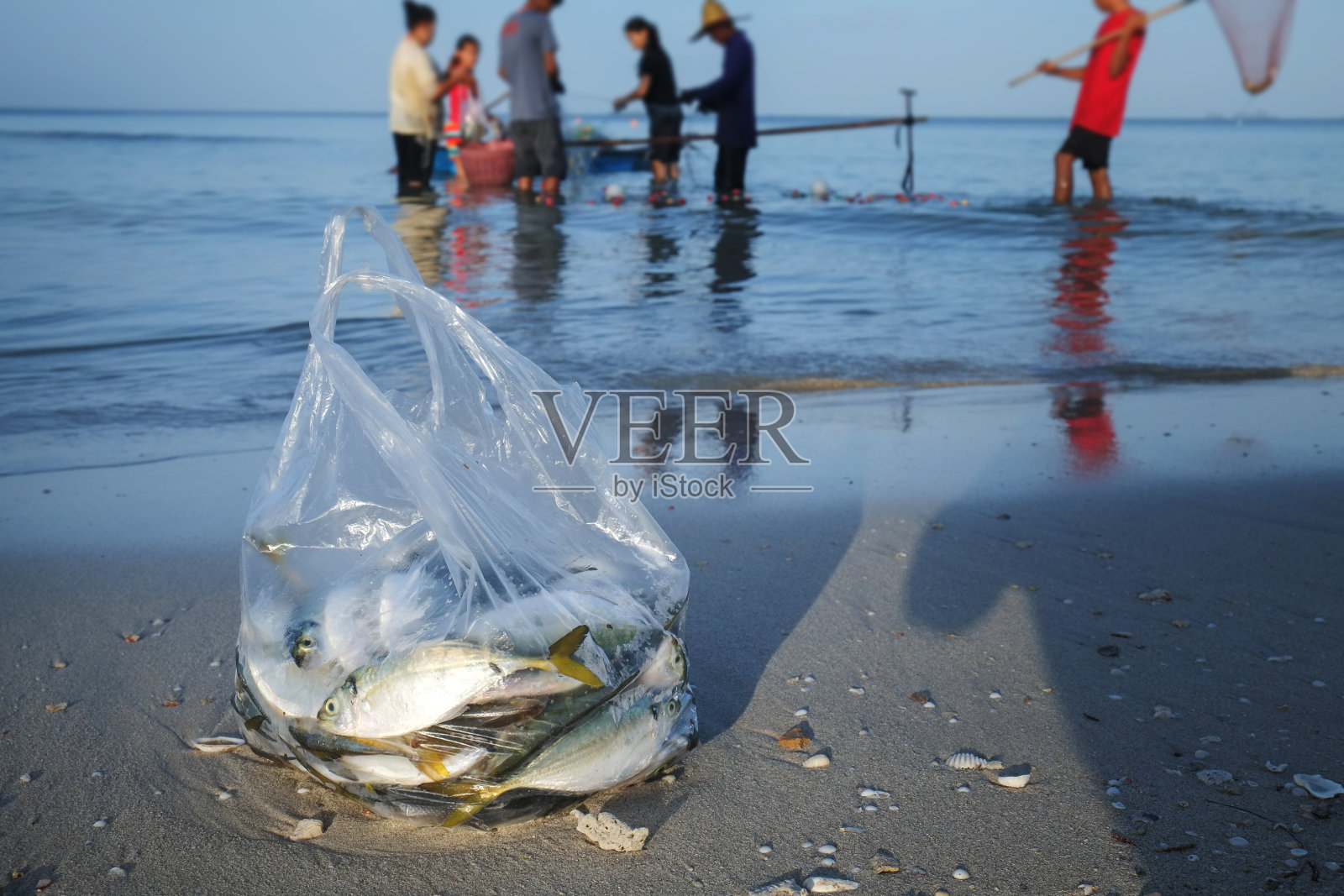 塑料袋装鱼照片摄影图片