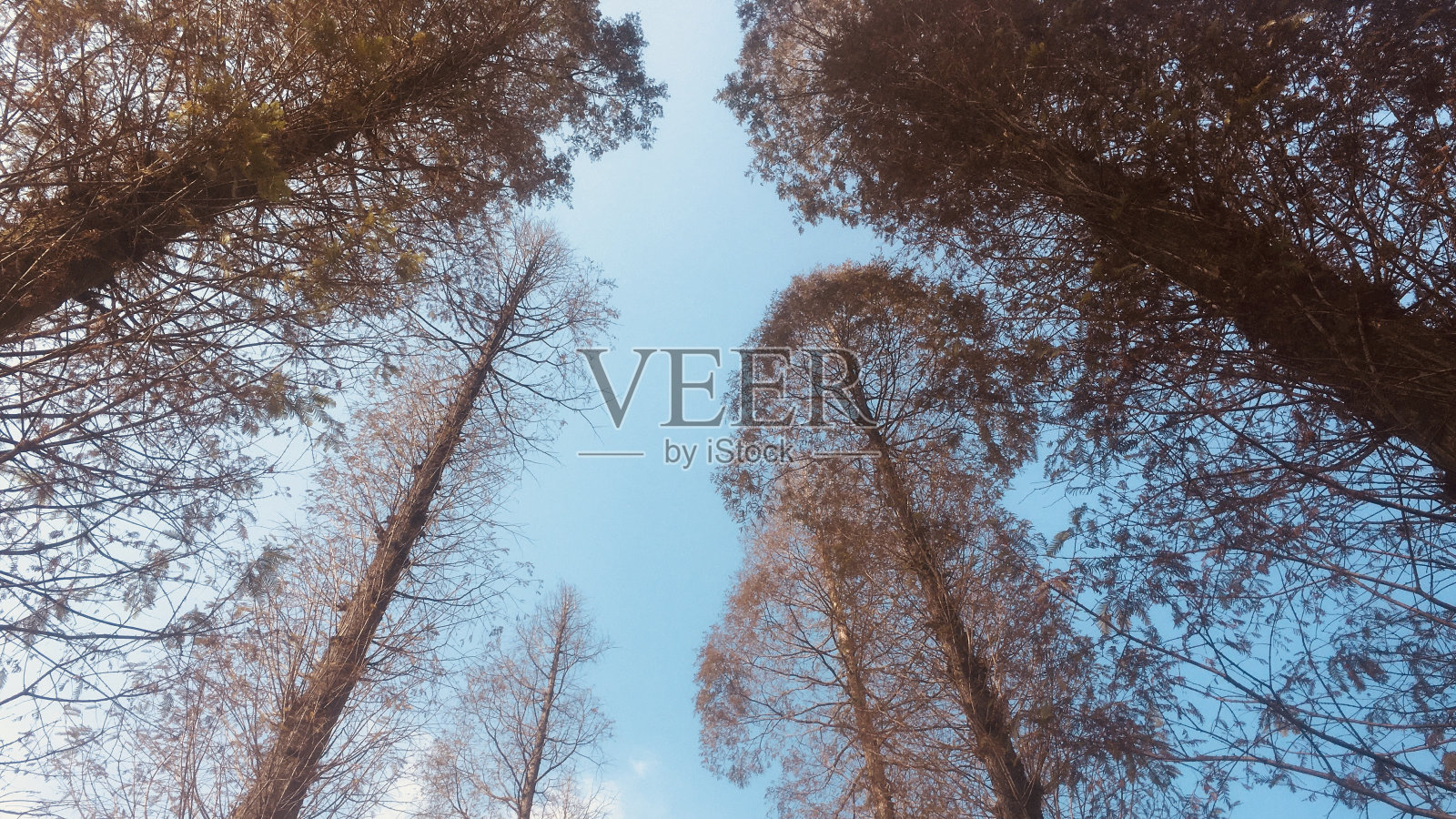 江西武公山全景云海照片摄影图片