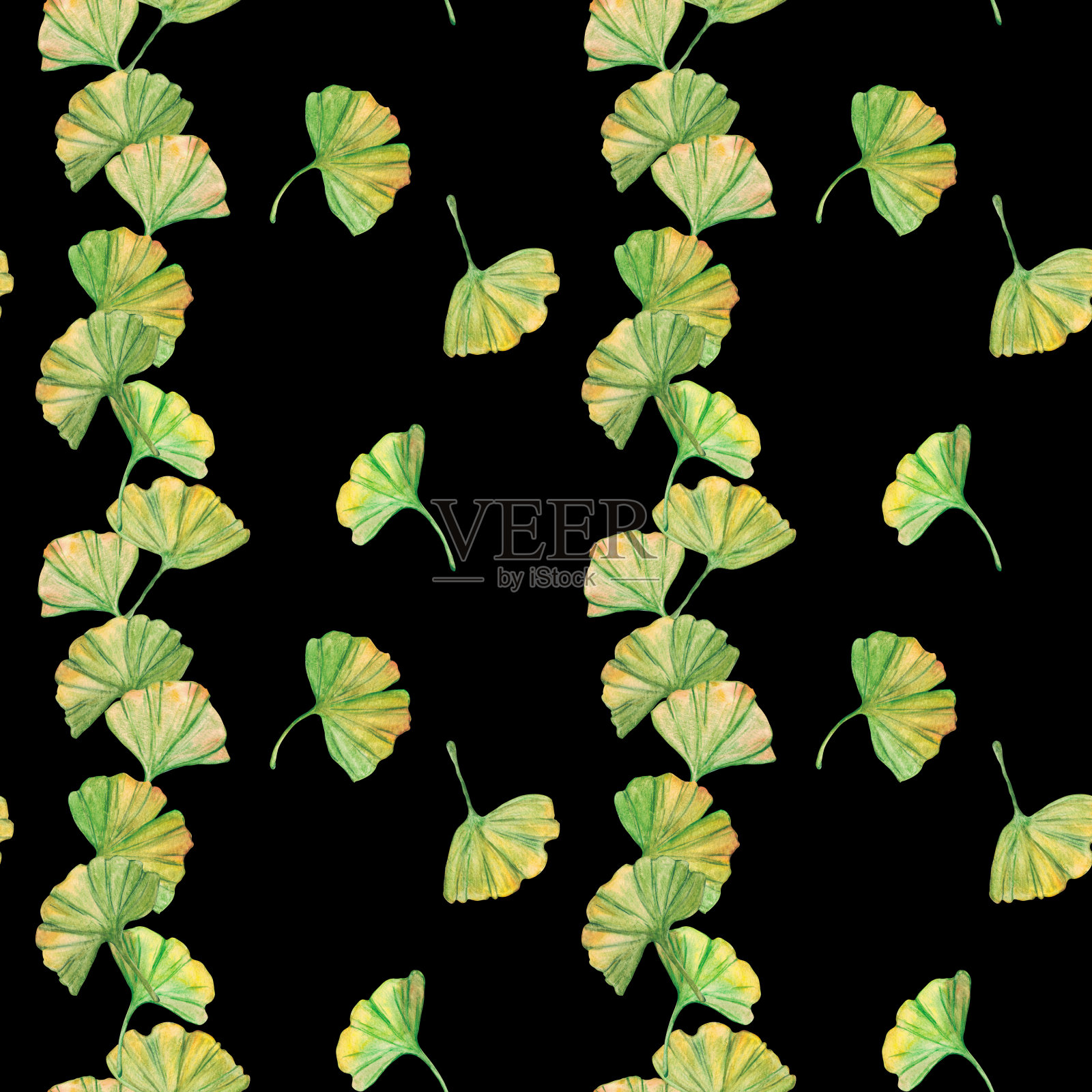无缝图案银杏绿黄叶片，印刷植物学叶片。水彩分支。叶子剪贴艺术。插画图片素材