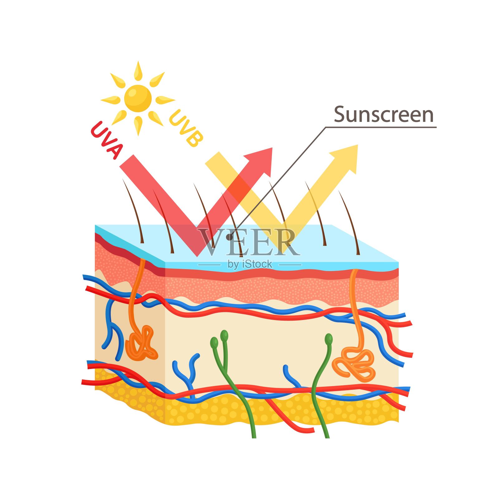 紫外线保护。防晒霜可以保护人体皮肤免受UVA, UVB射线的伤害插画图片素材