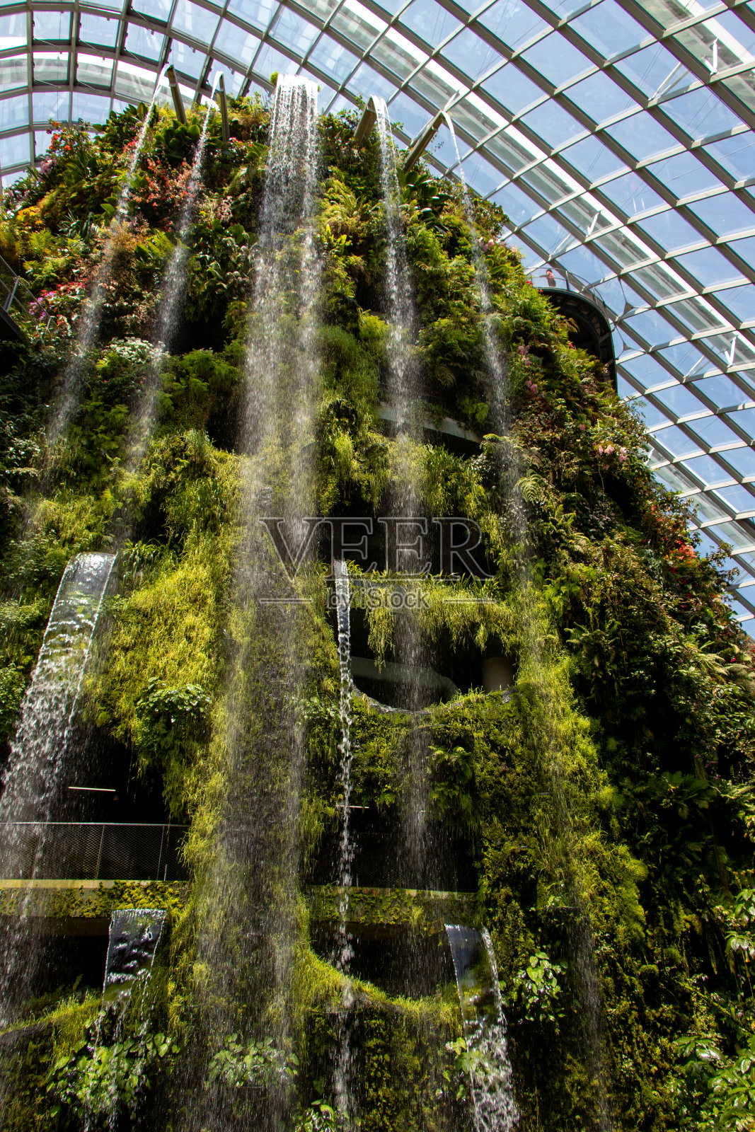 白天，新加坡海湾花园的低角度拍摄照片摄影图片