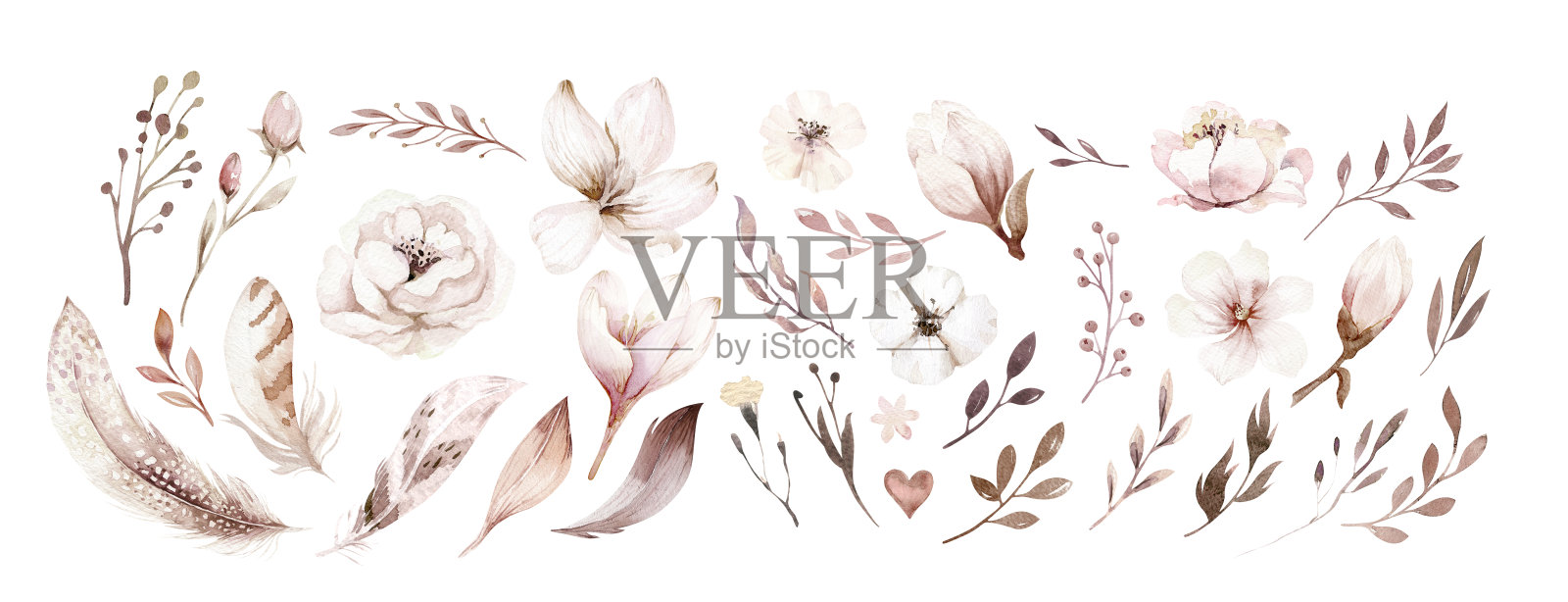 水彩波西米亚花和羽毛集。春夏装饰花波西米亚设计。水彩画孤立。树叶插图与樱桃，绿叶，羽毛。植物水彩画插画图片素材