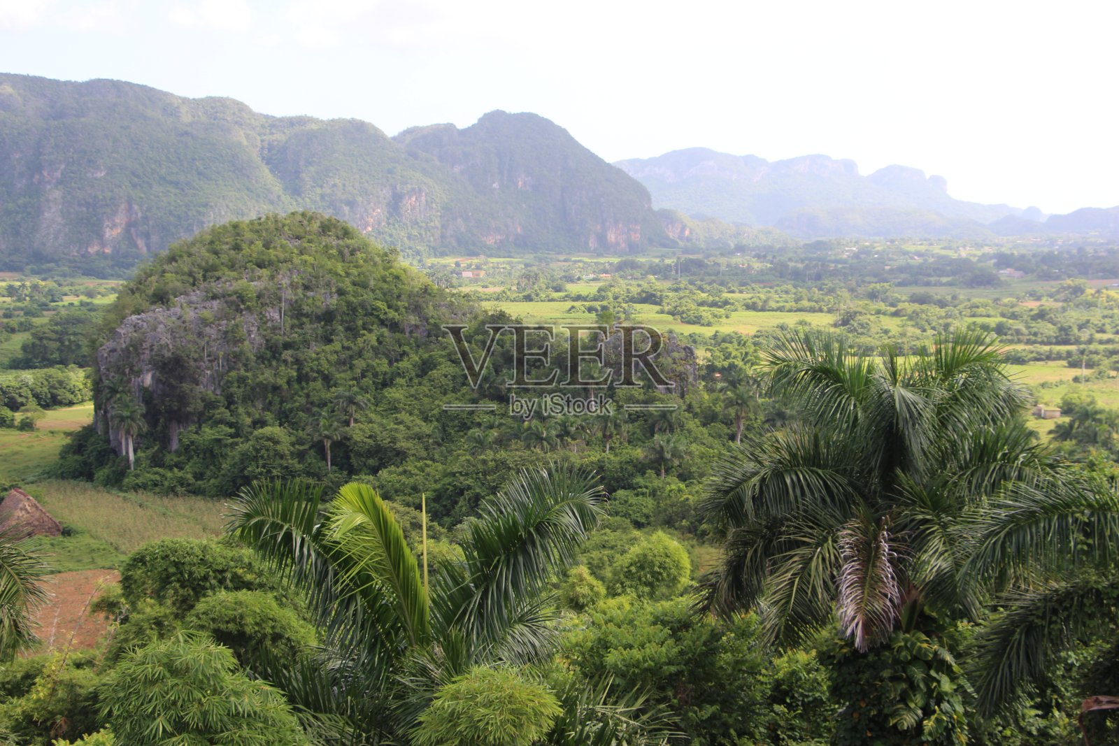 古巴-维尼亚莱斯山谷-景观照片摄影图片