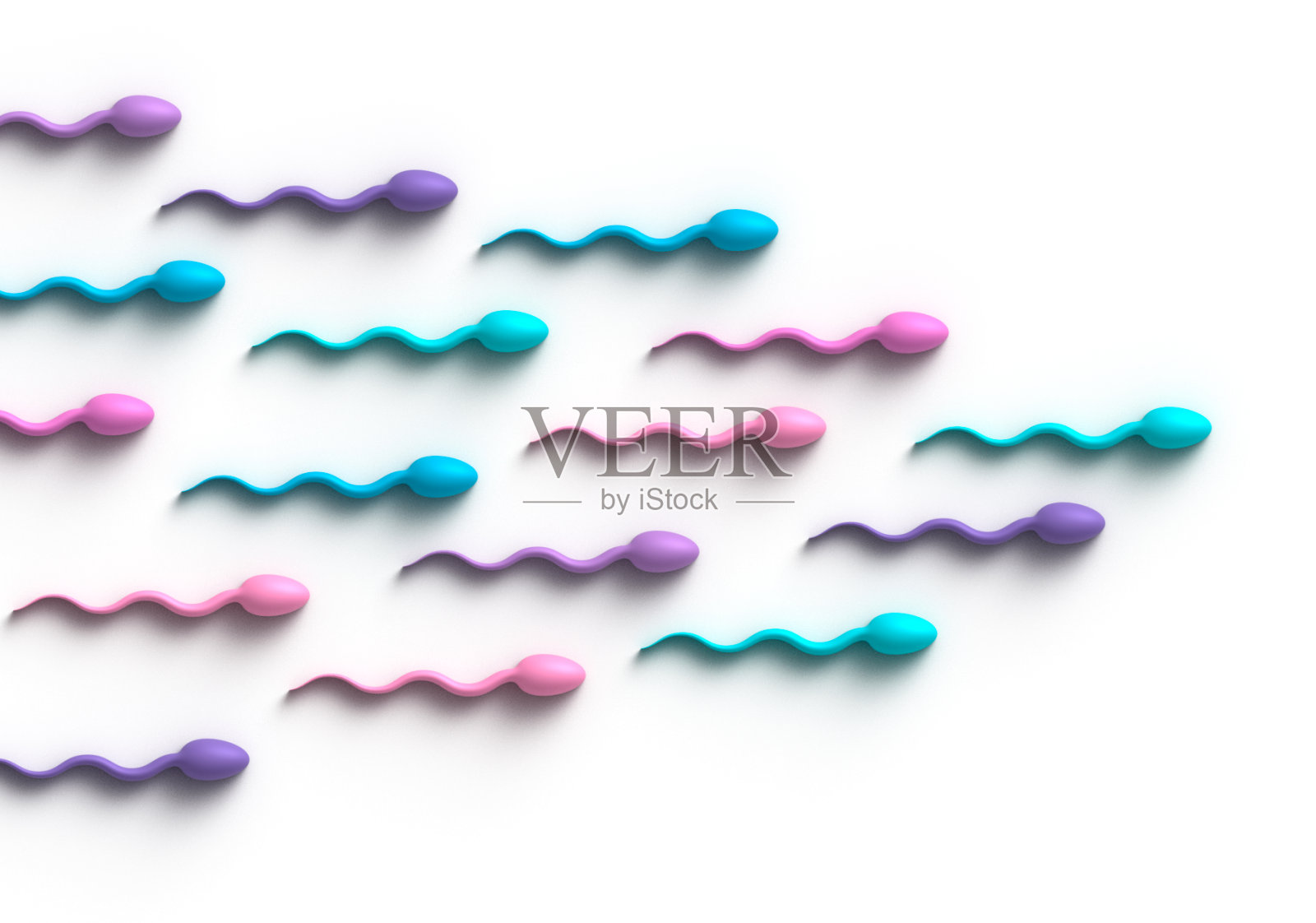 人类精子性别概念照片摄影图片