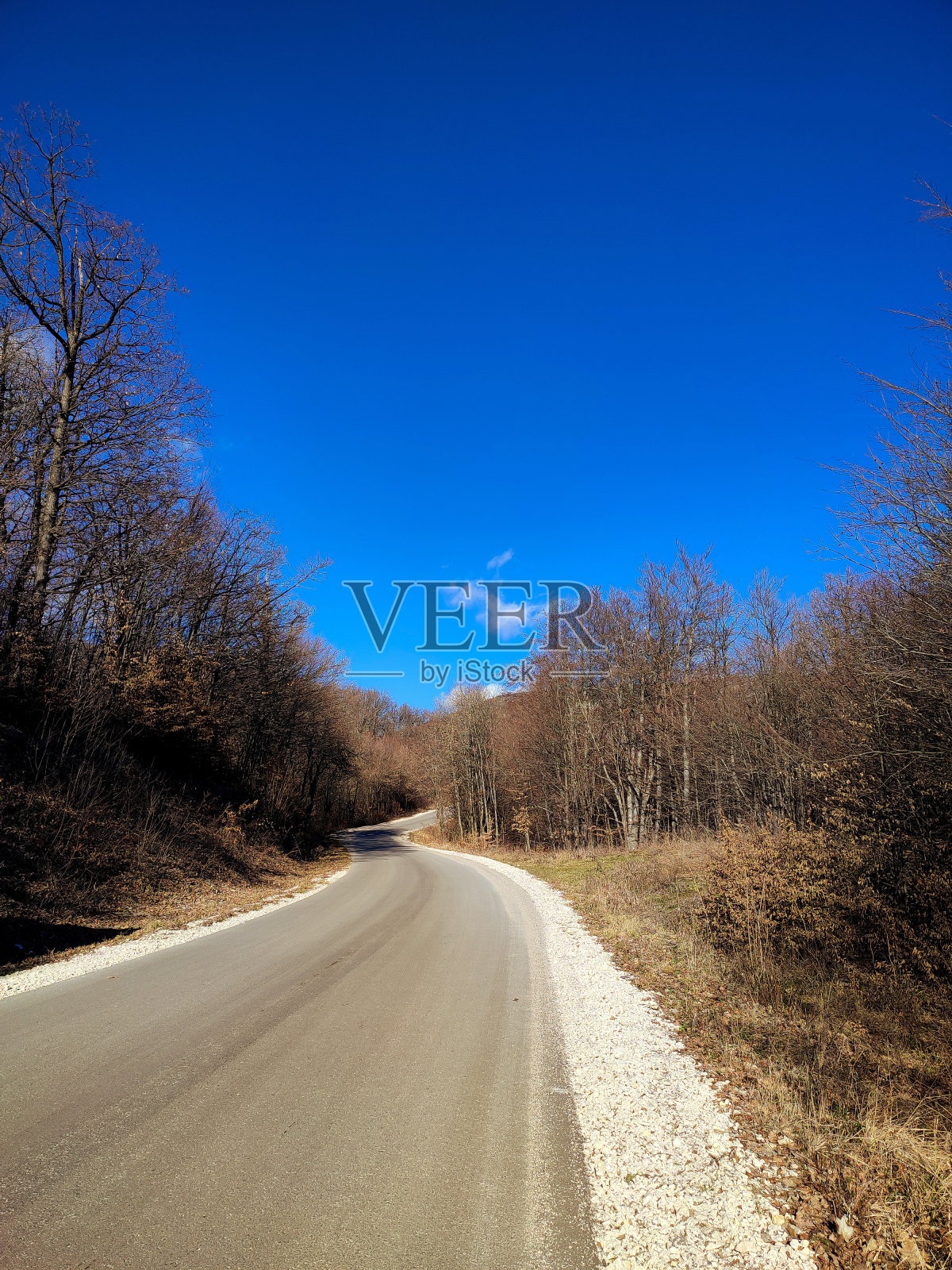 冬天如春照片摄影图片