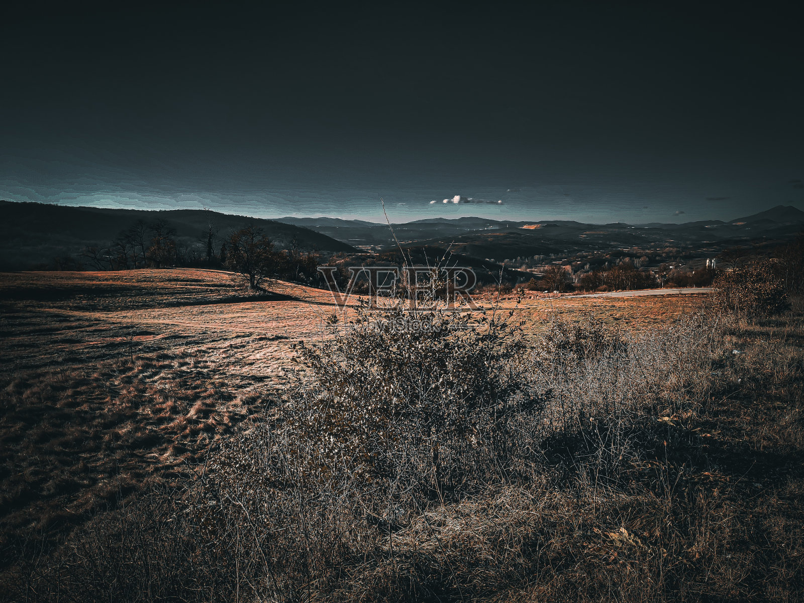 冬天如春照片摄影图片