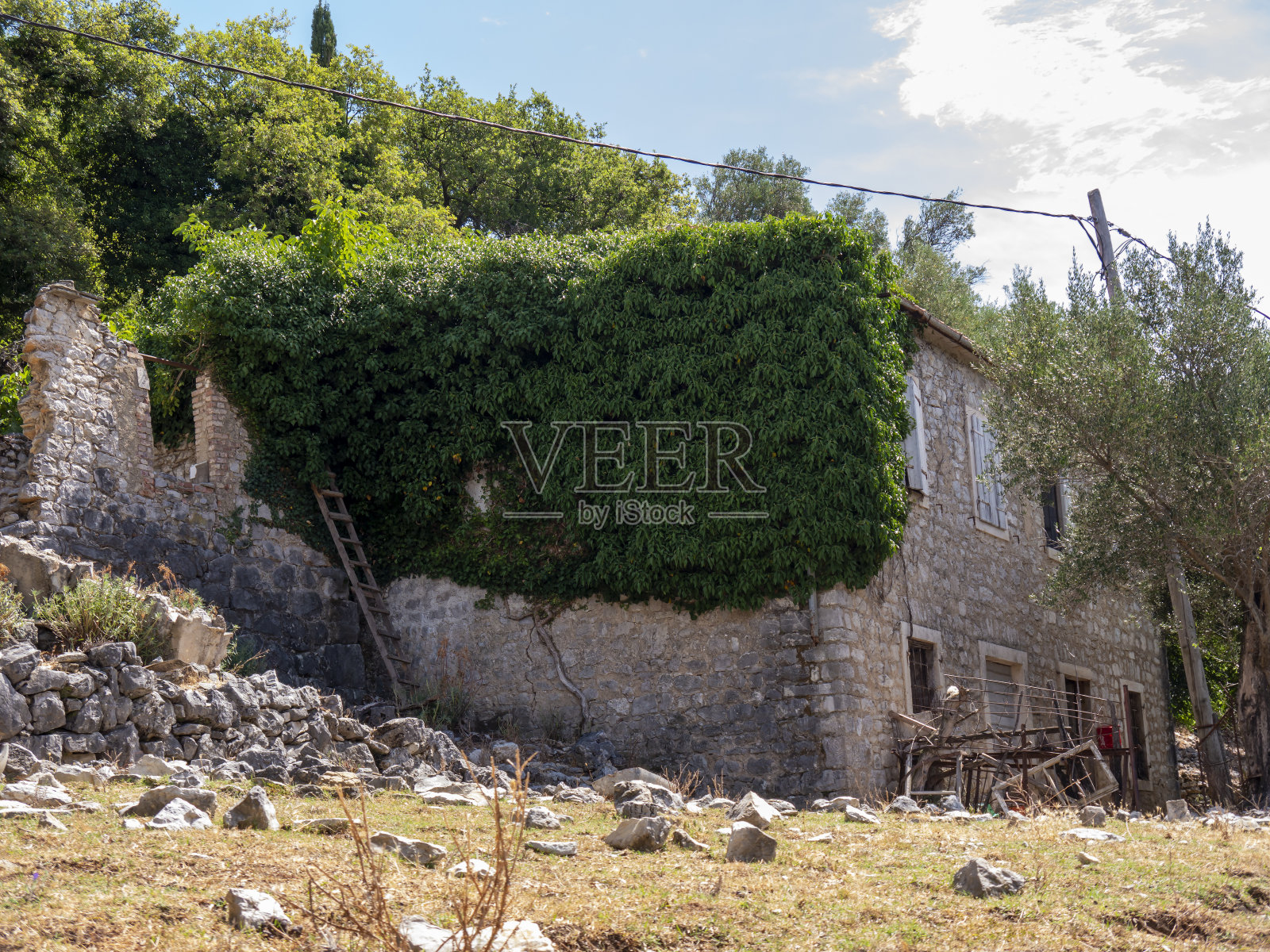 破旧的石头房子，墙上爬满了常春藤照片摄影图片