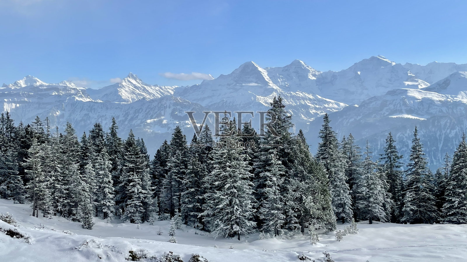 瑞士节拍8照片摄影图片