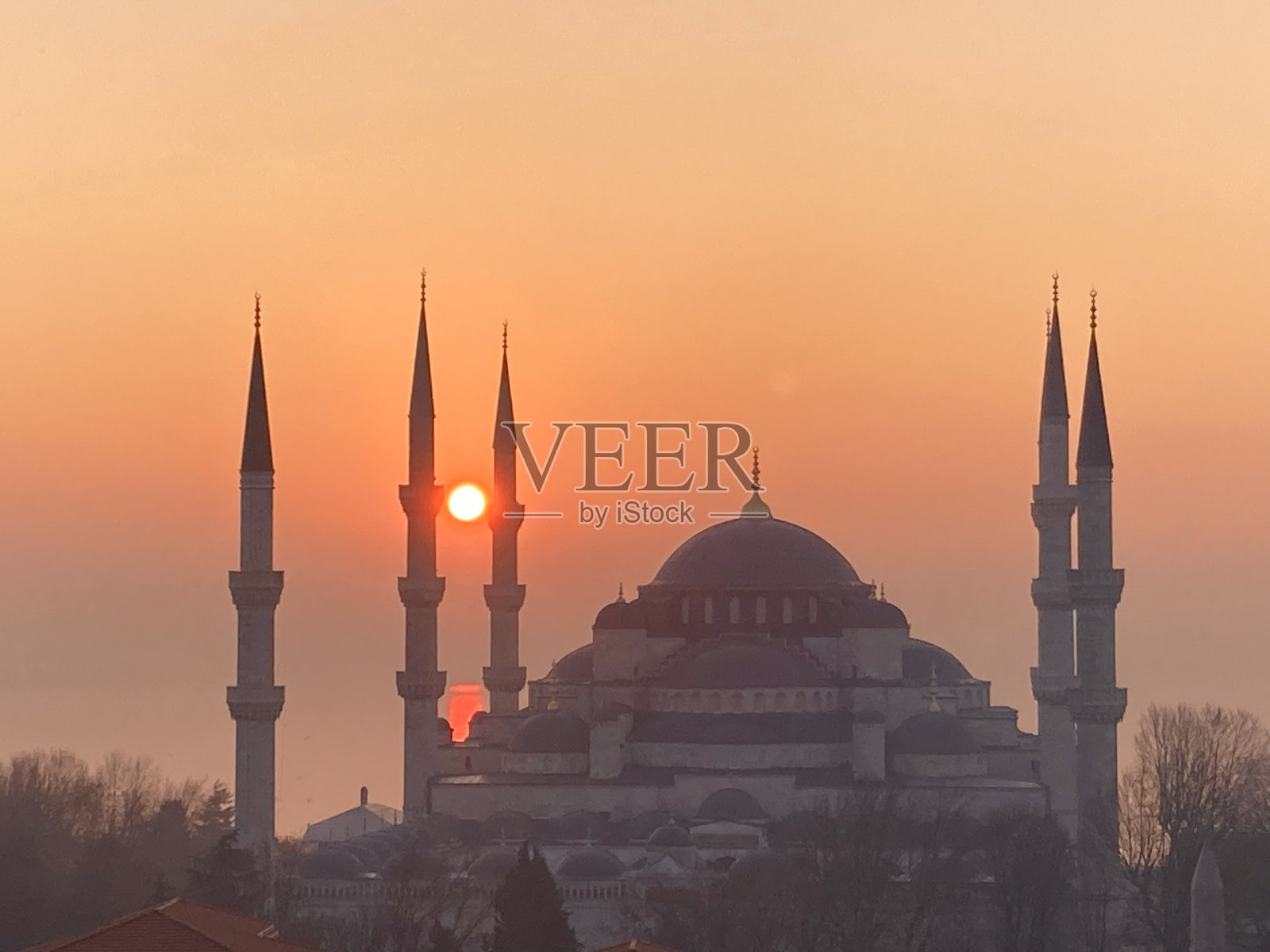 土耳其-伊斯坦布尔-阳光下的蓝色清真寺照片摄影图片