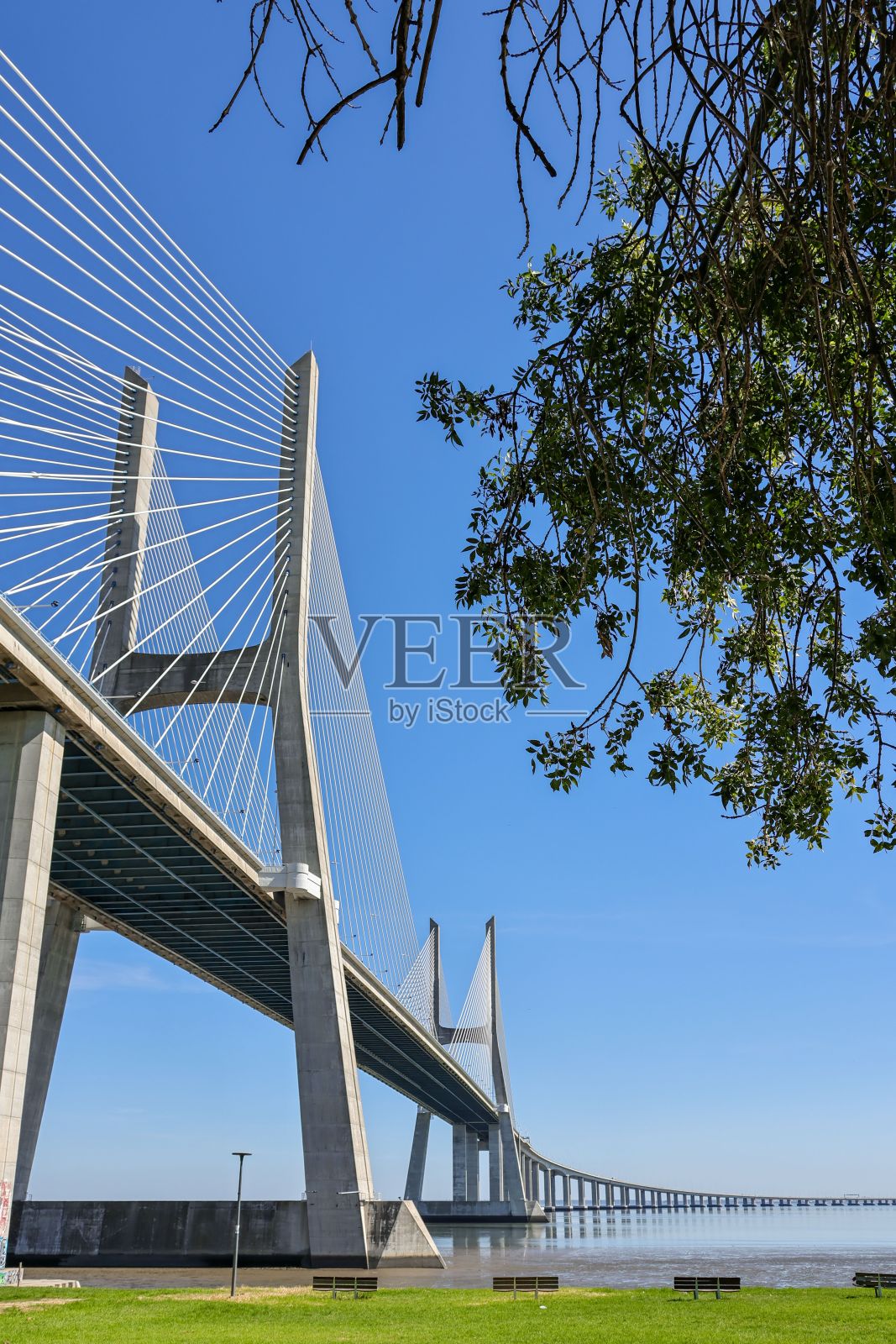 在Gama桥的Vasco，美丽的一天里的风景照片摄影图片