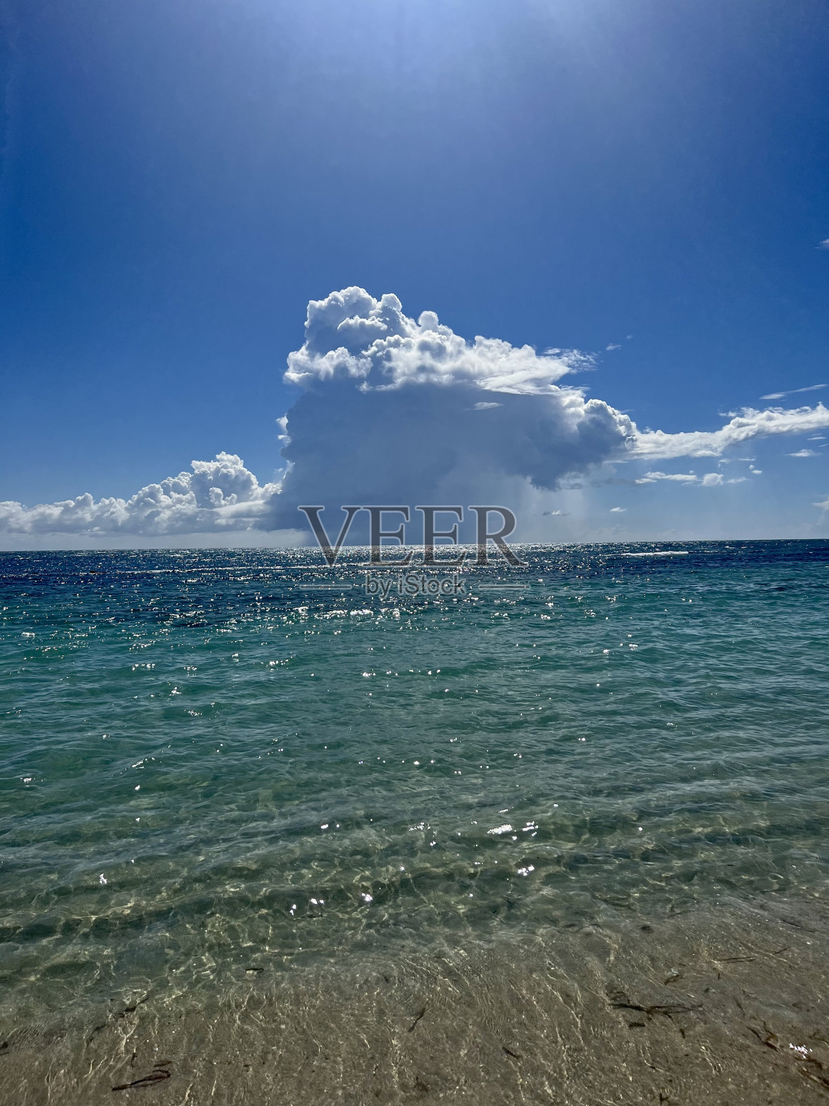 假期照片摄影图片