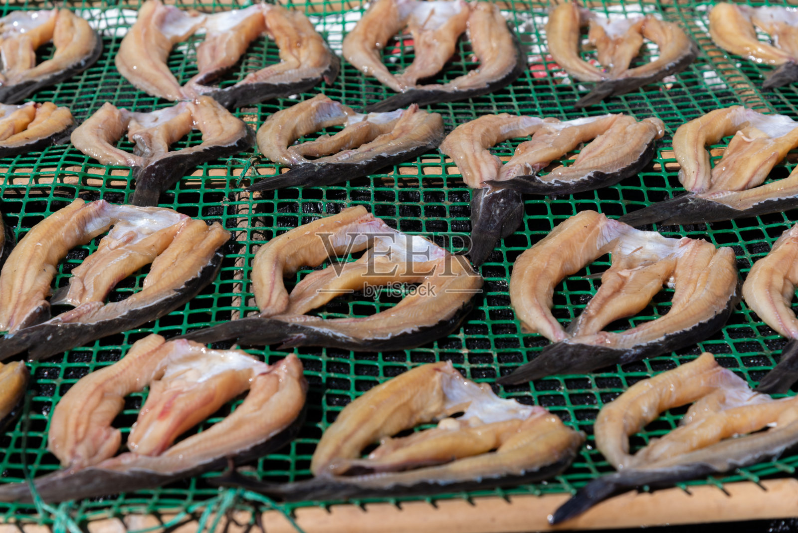 新鲜的鱼被放在塑料网上，在阳光下保持鱼的干燥照片摄影图片