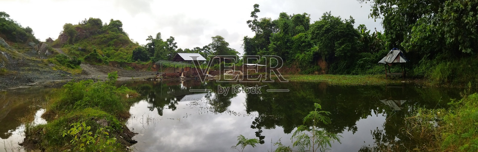 在田野里放松照片摄影图片